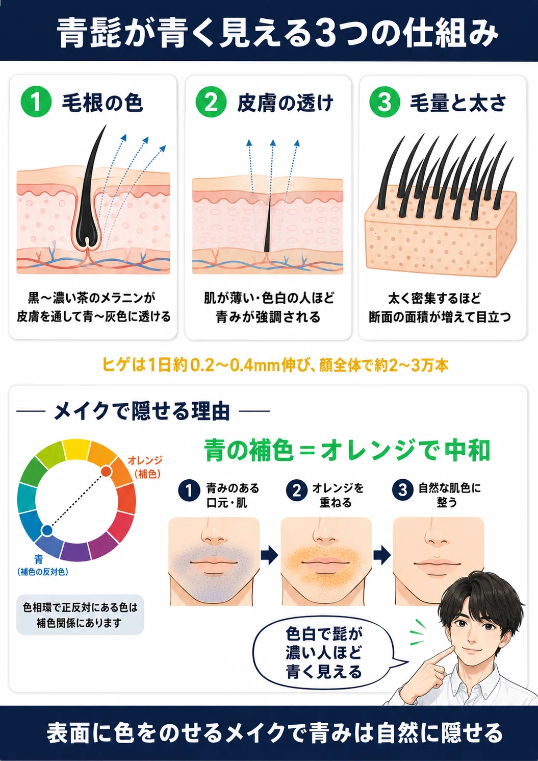 青 髭 隠す