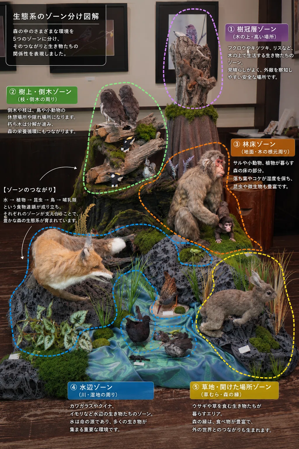 奥多摩の森を表現してみた展示｜森羊のクーシャ