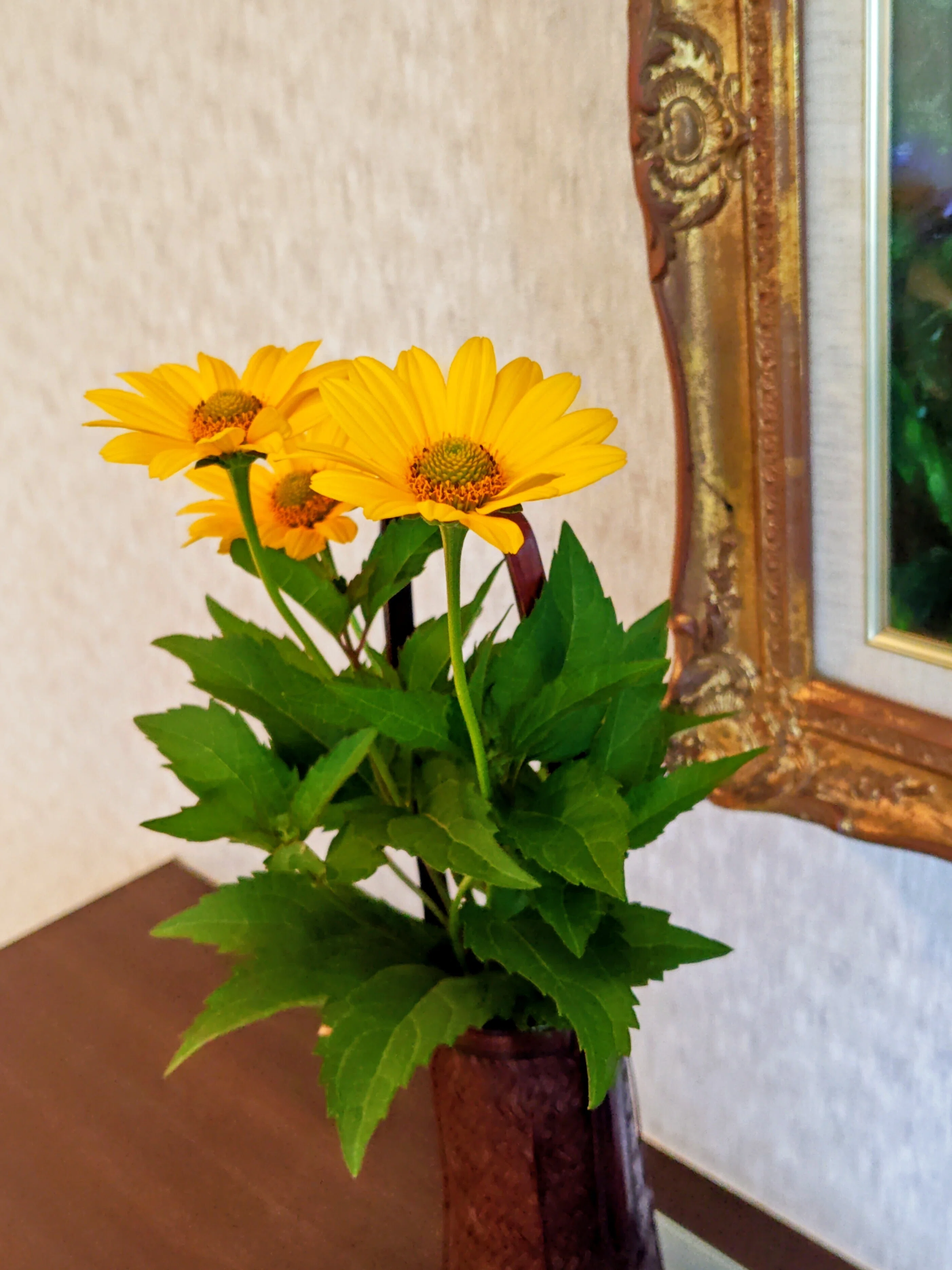 旬なお花を花入れに挿してみました｜フジガッキー/ウェルビーイング