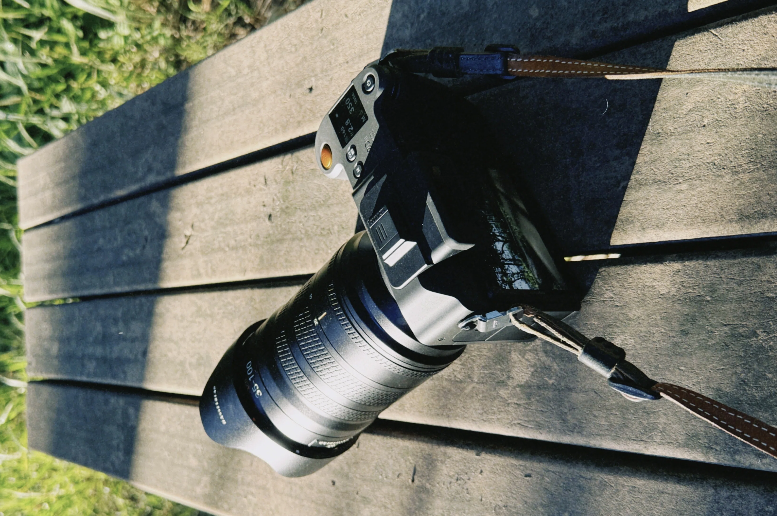 I tried using the Hasselblad X2D II 100C｜猫写真家 あおいとり