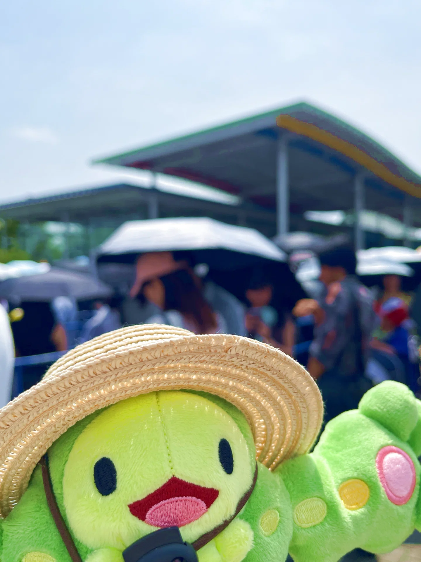 ポケパークカントーはソロ参戦でも楽しかった｜奇綴ピスマ