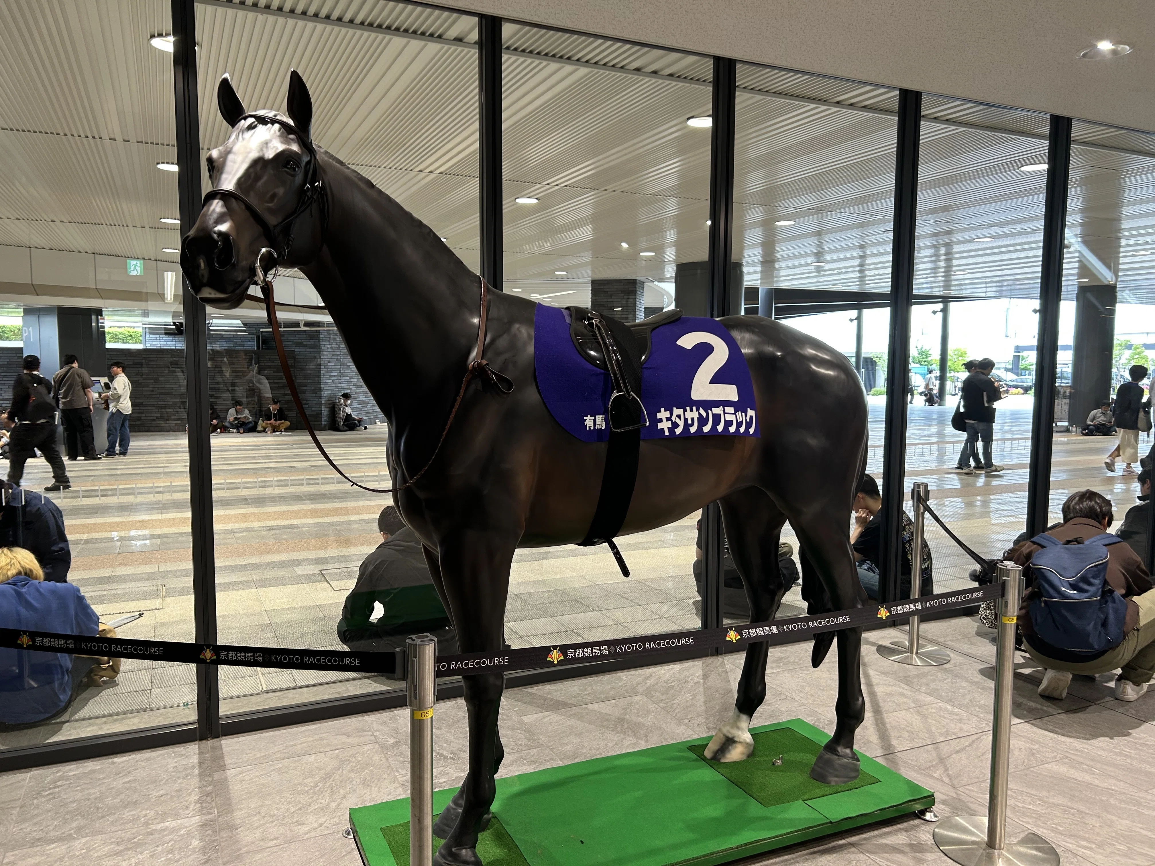 京都競馬場に行ってきた｜臀部