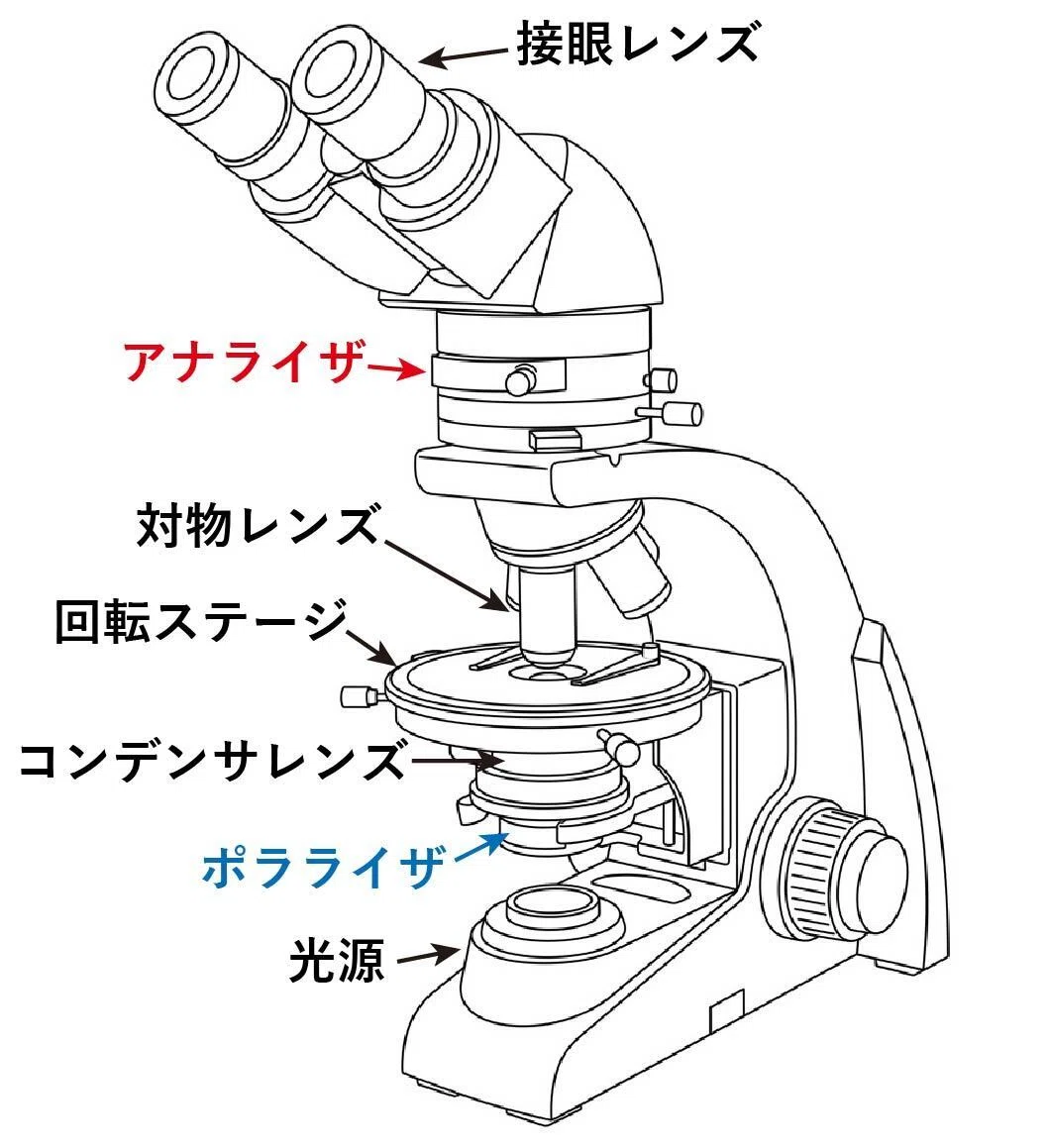 偏光顕微鏡とは何か｜市川 壮彦