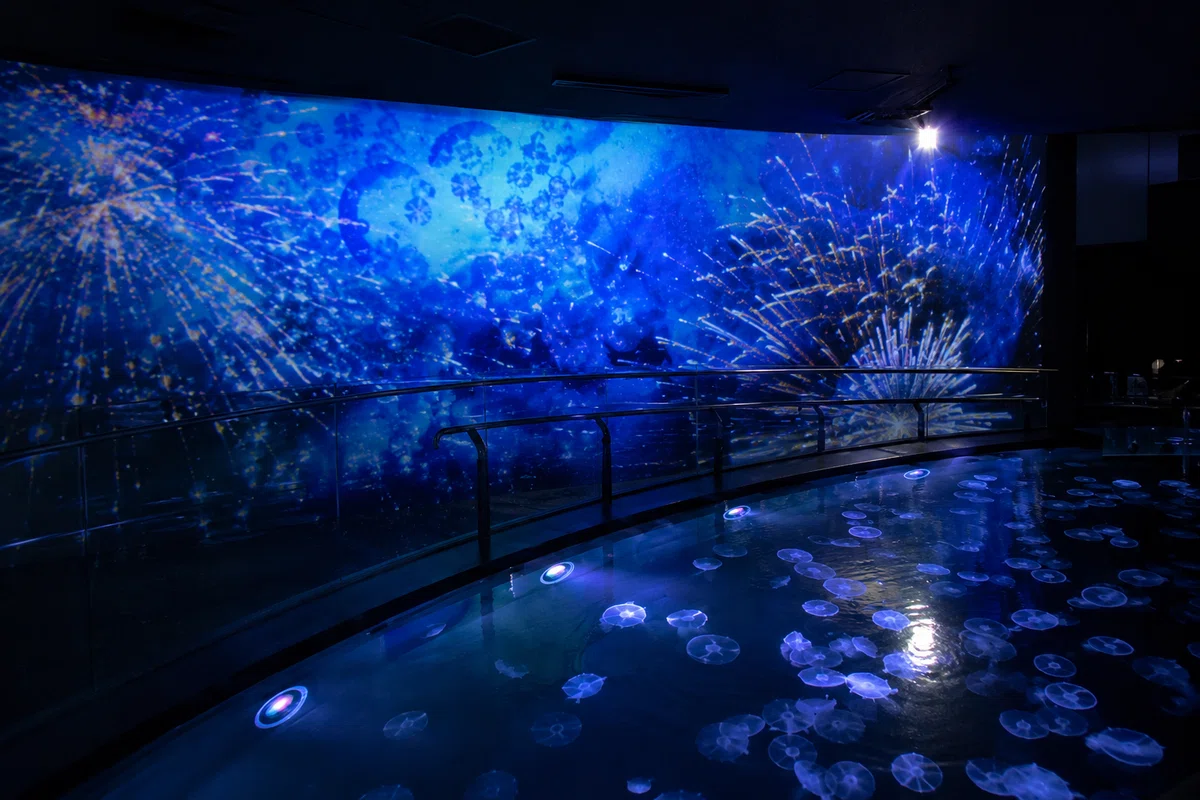 水族館へのプロジェクションマッピング導入事例