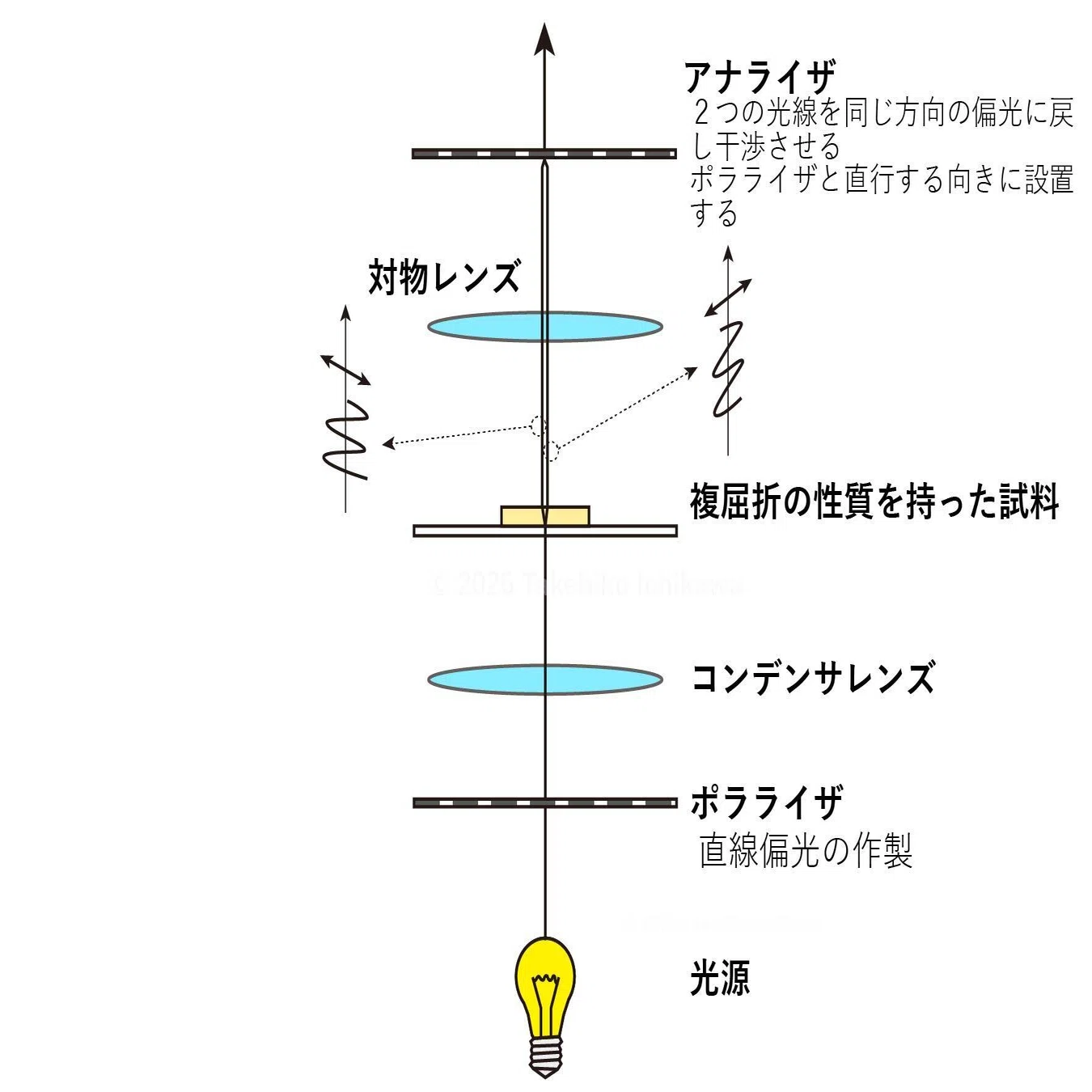 偏光顕微鏡とは何か｜市川 壮彦