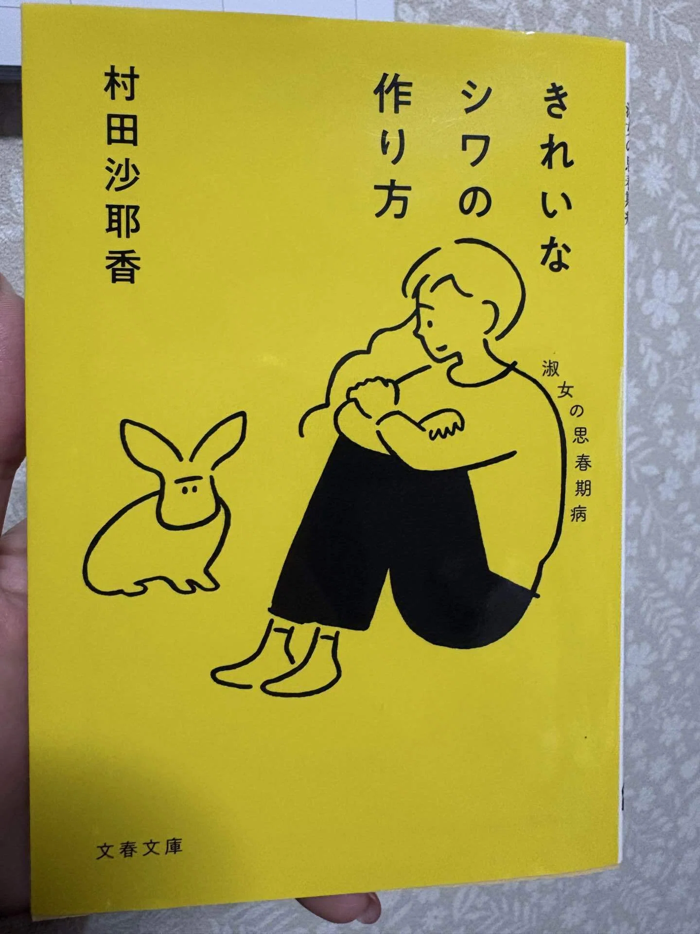 変化していく自分への実感｜『きれいなシワの作り方』村田沙耶香 読書 