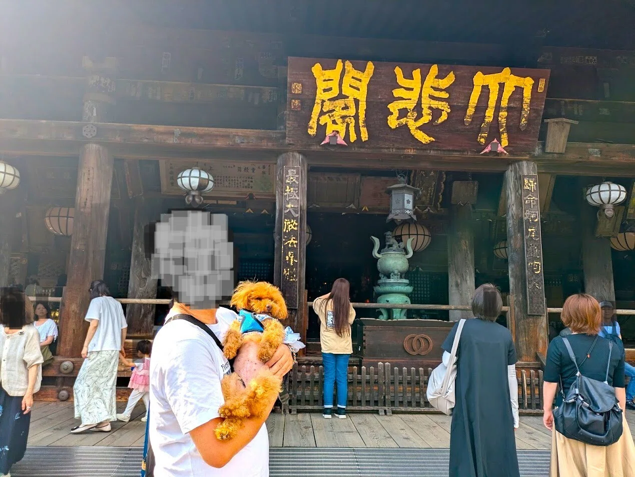 奈良・長谷寺「御本尊大観音」特別拝観！迫力の十一面観世音菩薩立像と