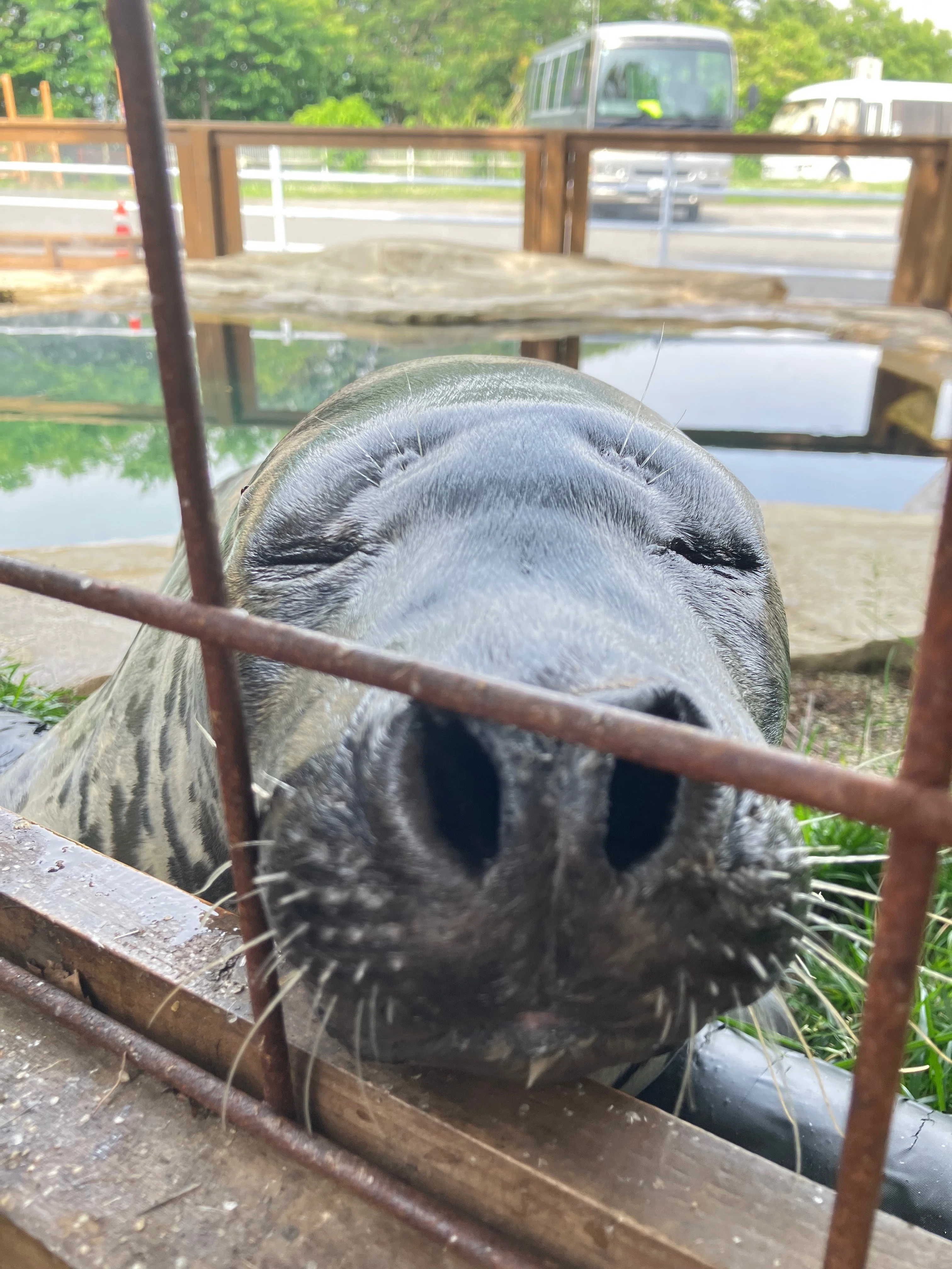 クセが強い！愉快な仲間たち｜那須どうぶつ王国公式note