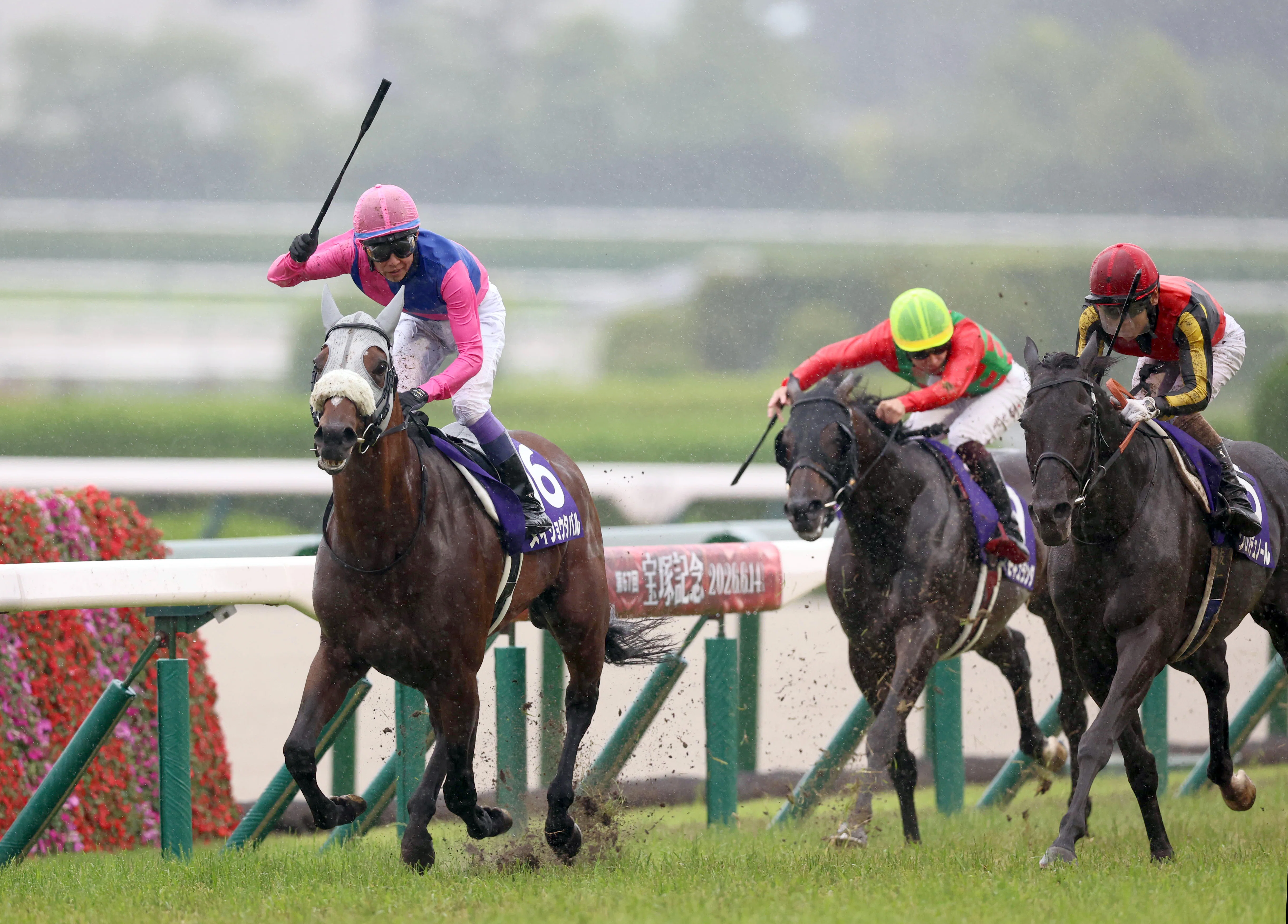 第67回 宝塚記念 単勝馬券 ダノンデサイル 第67回 宝塚記念 単勝馬券 ダノンデサイル