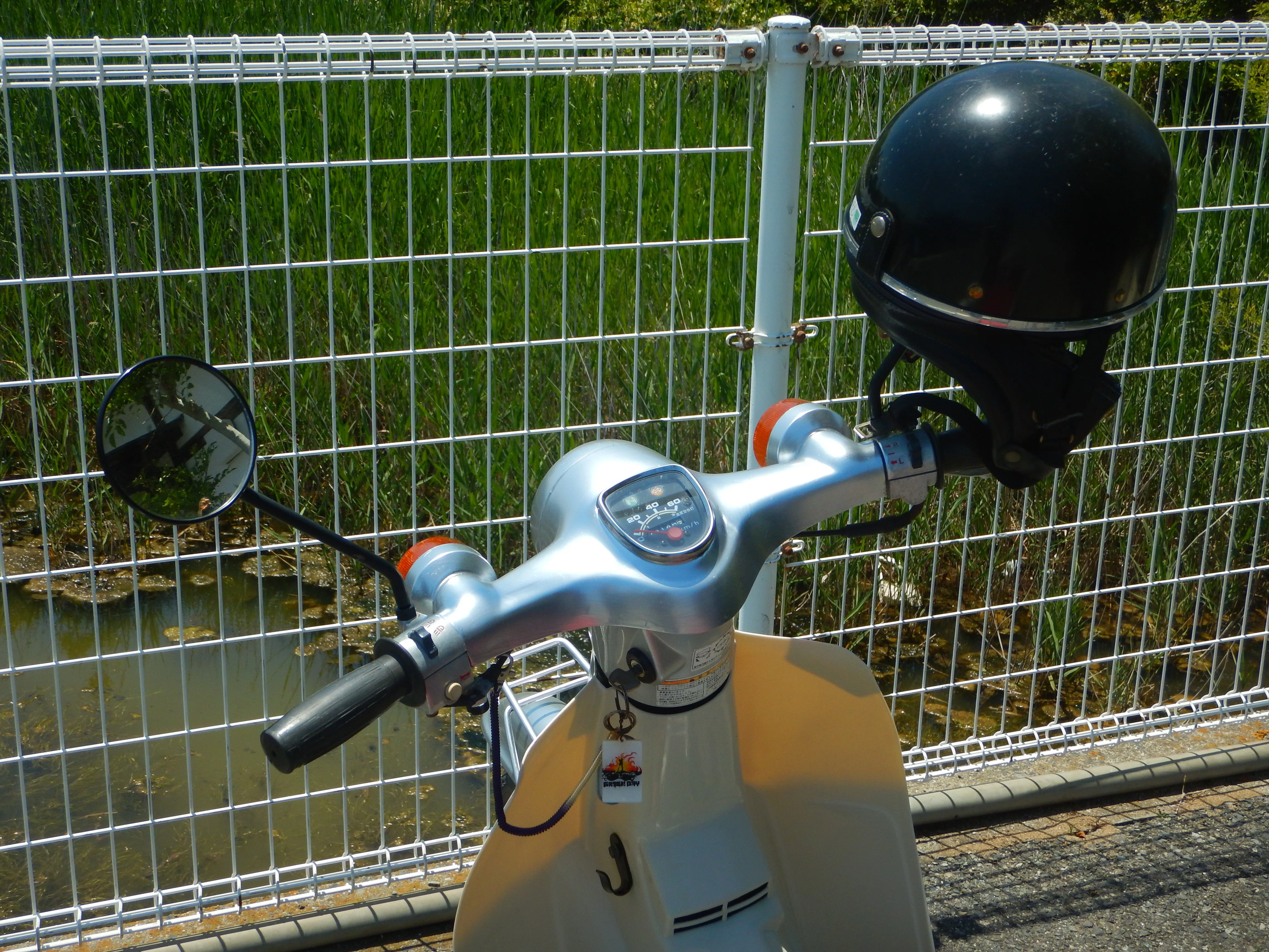 小豆島産風蘭吊り下げ式 9号 バイクで小豆島をめぐる（前編）｜フランキー