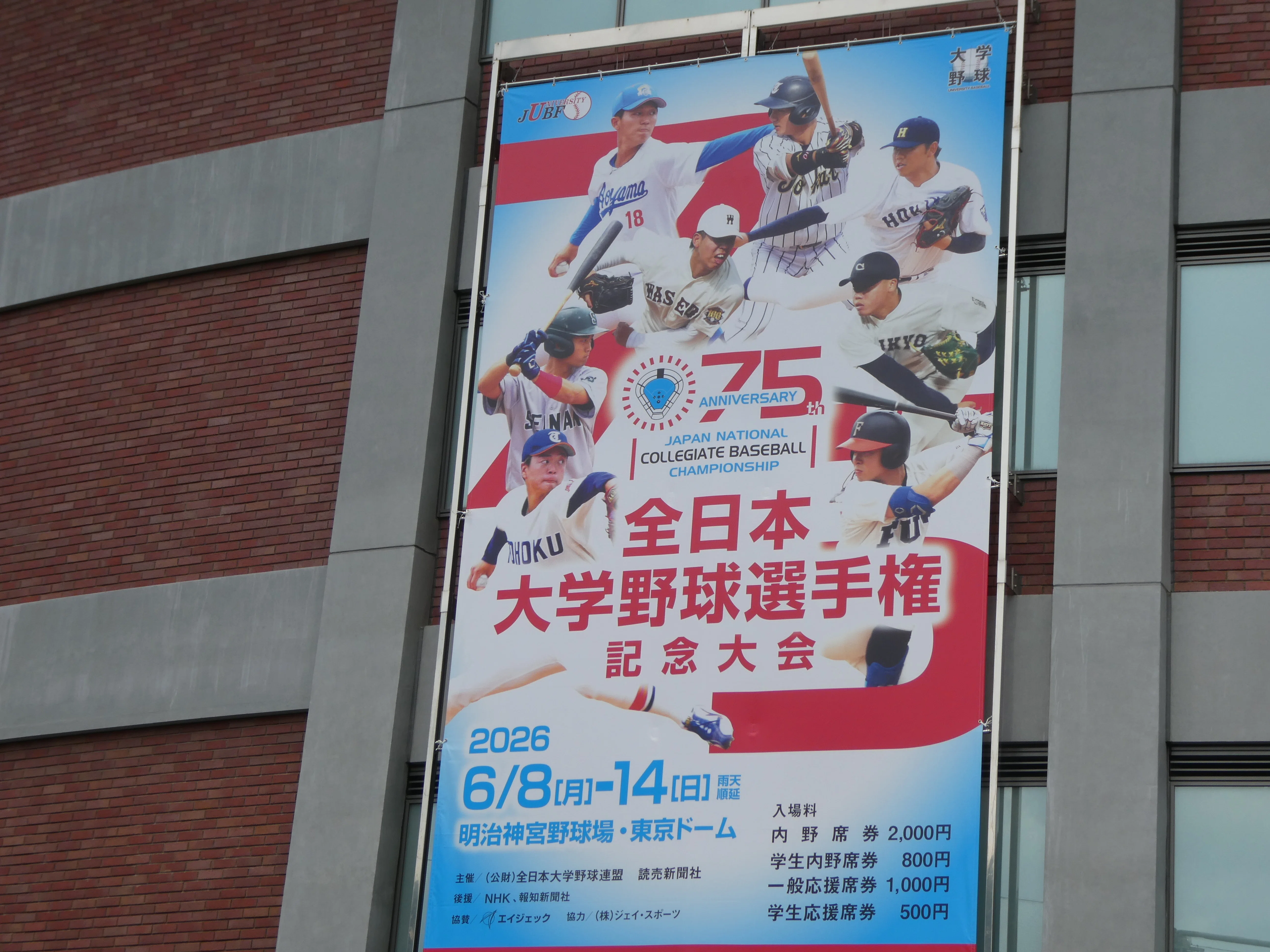 神宮球場で野球観戦 6/14 関西大学VS慶應大学｜ストレルカ