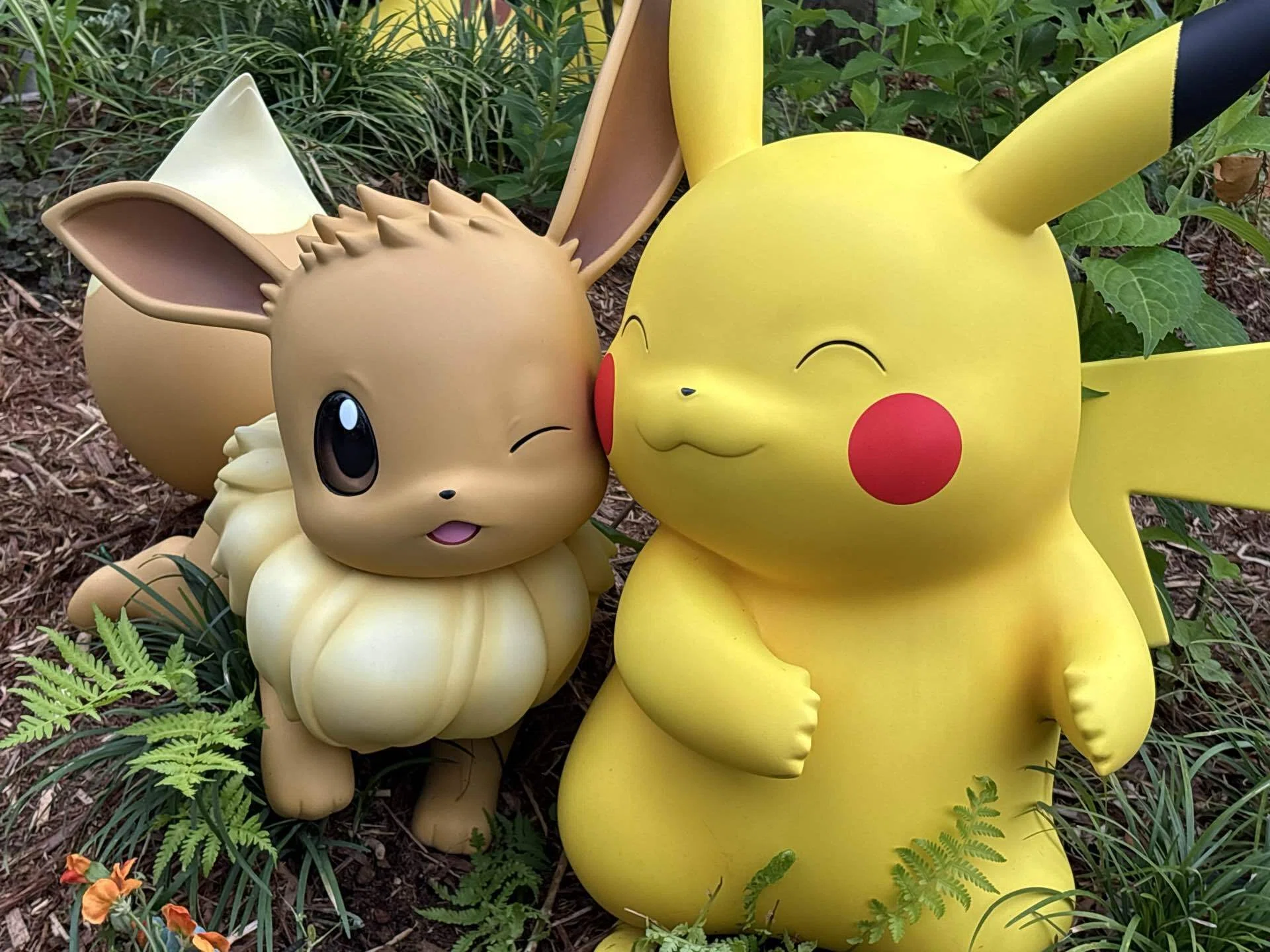 ポケパークカントーは朝が全て！？｜ゆーきち