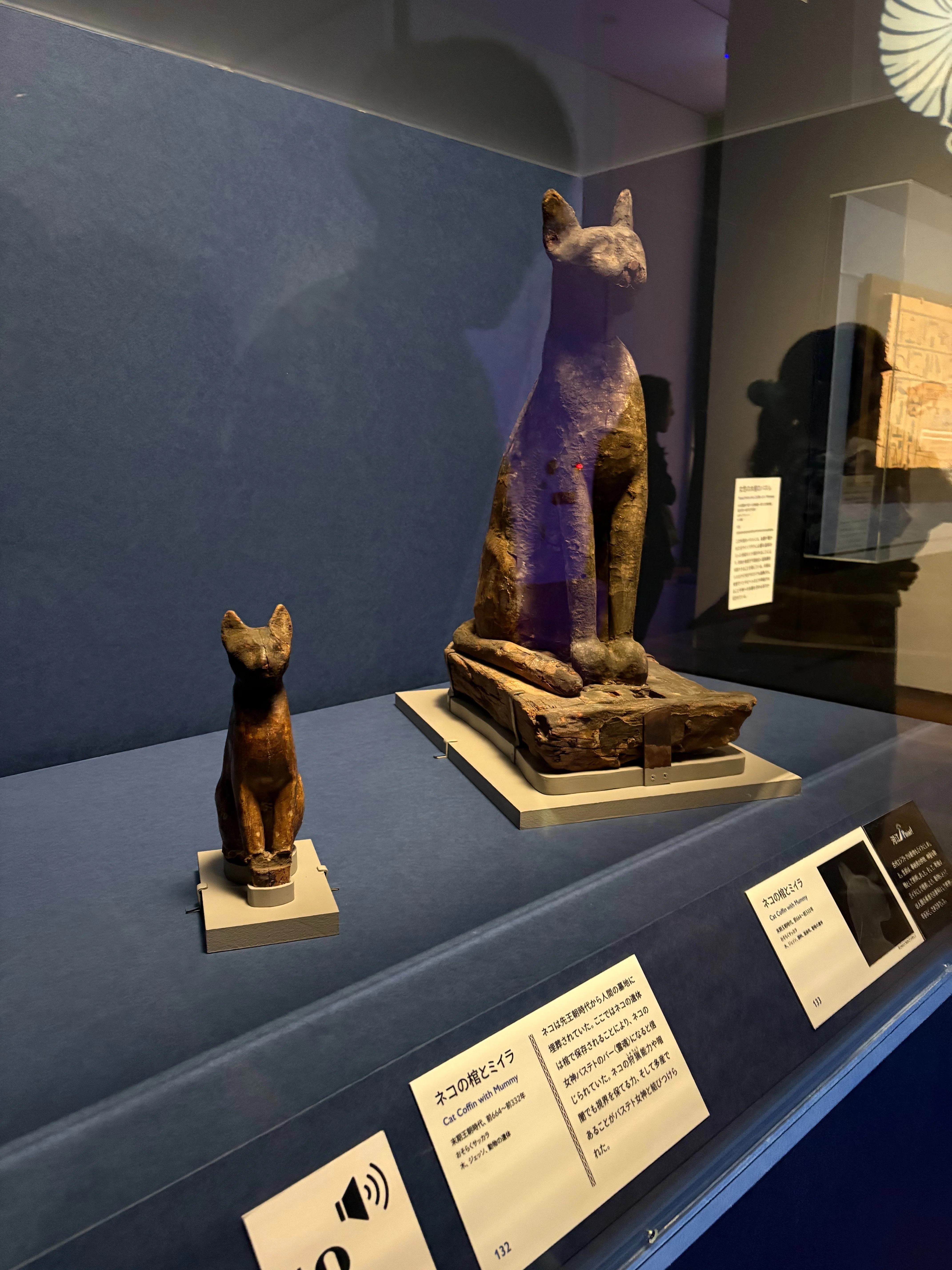 展示物から始まる歴史｜古代エジプト展で気づいたこと｜くるみ｜欲望