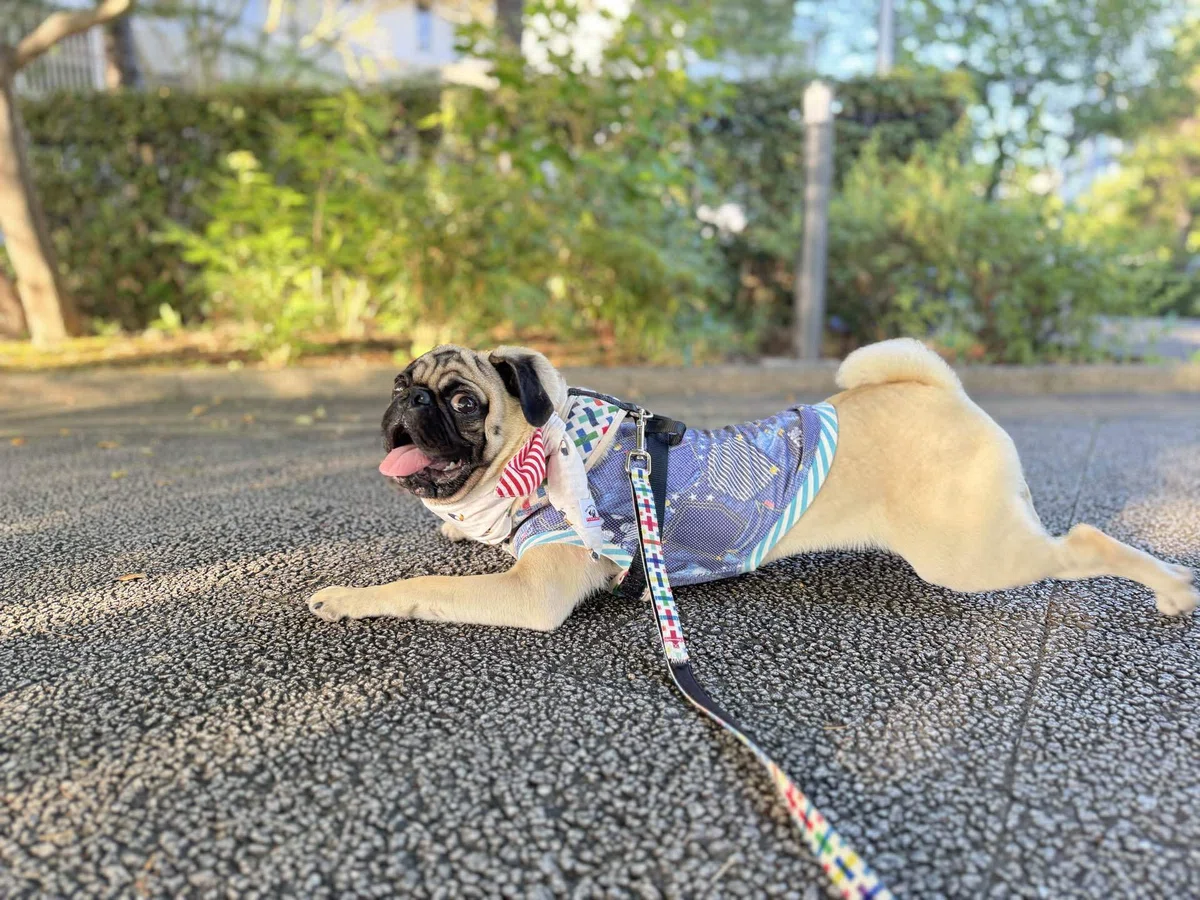 画像
