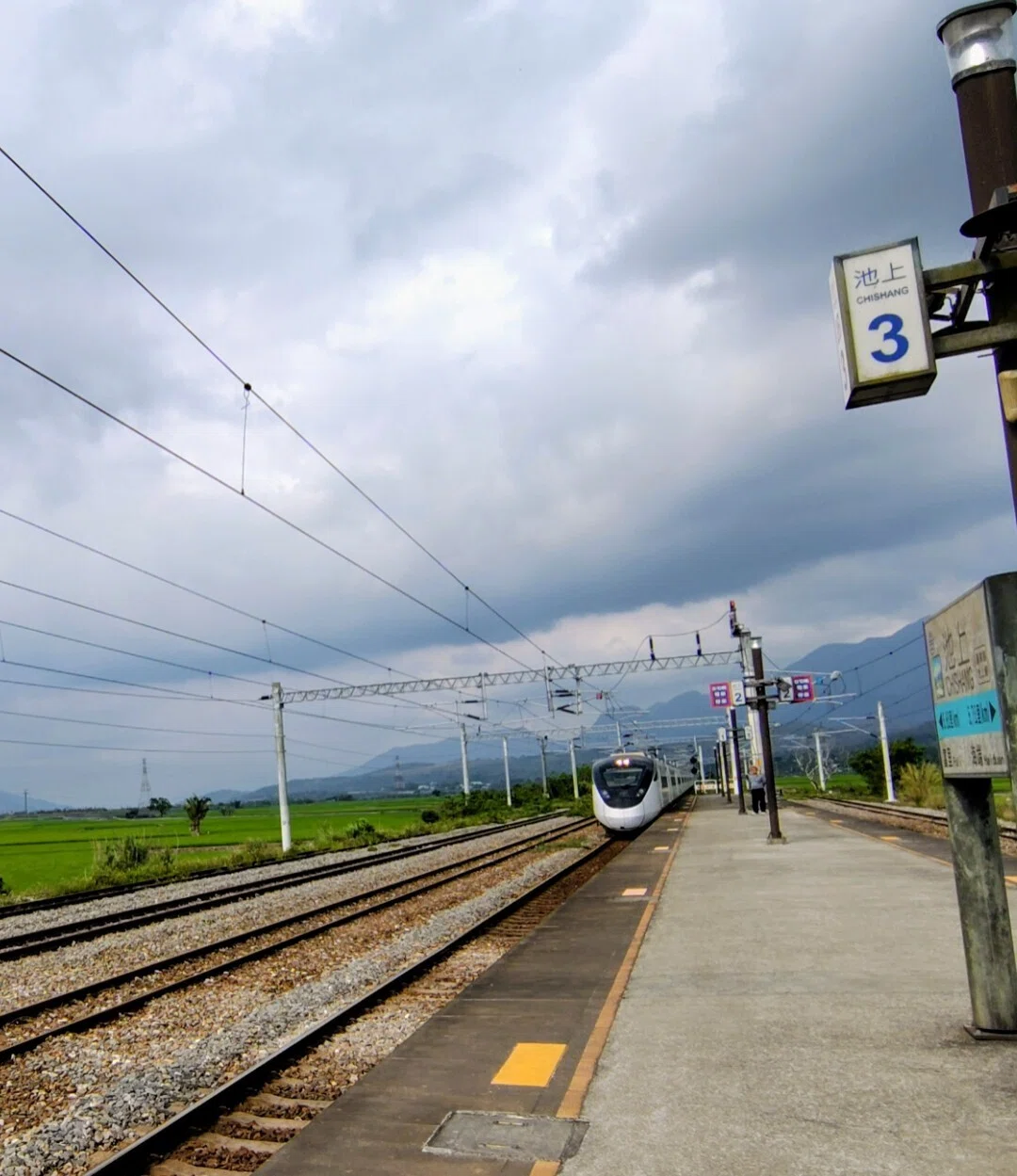 🇹🇼台湾台東ひとり旅19🇯🇵 🌿優しさに涙🌿多謝 臺灣🌿 ｜桂🇯🇵