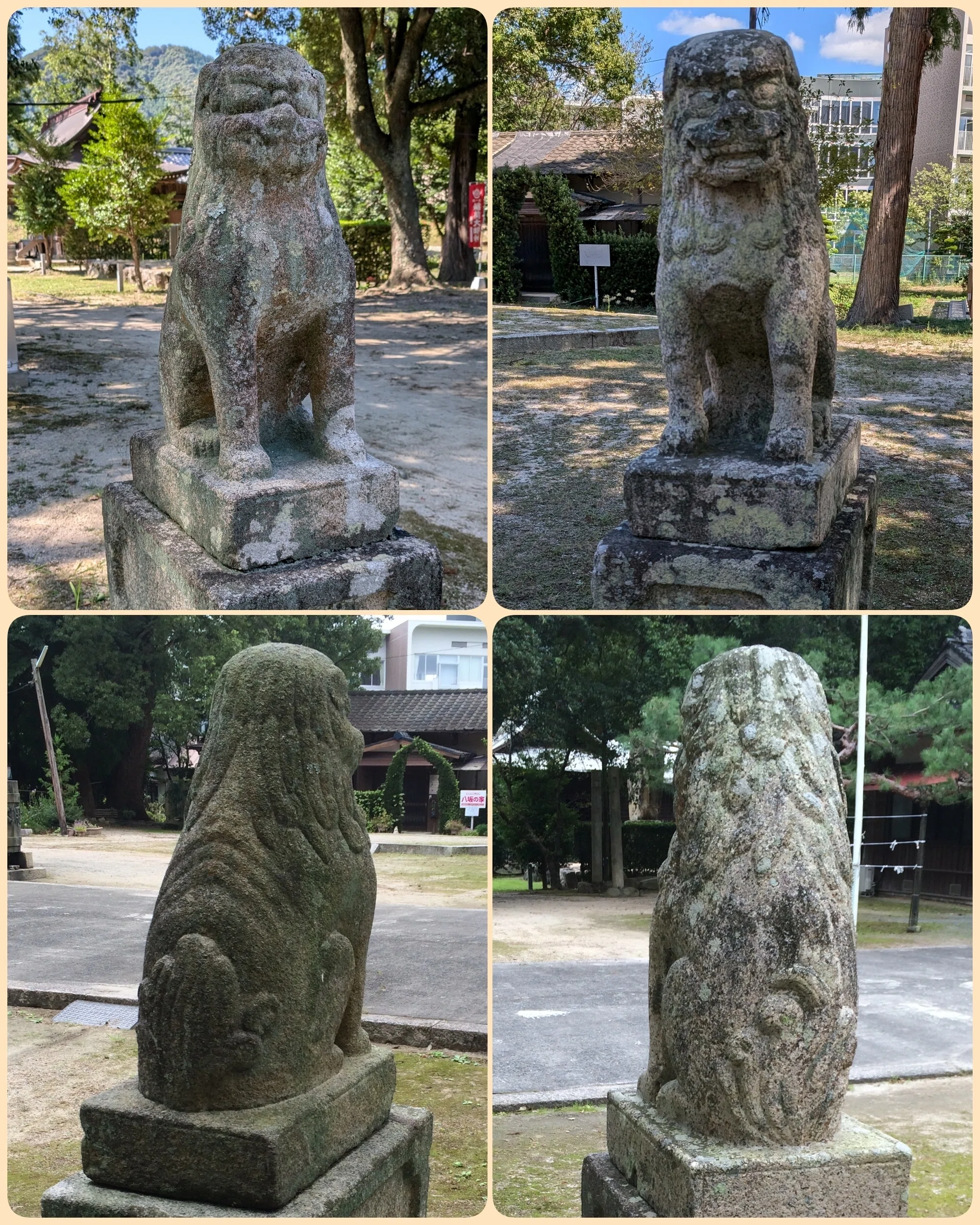 山口デスティネーションキャンペーン 山口市｜藤井克浩