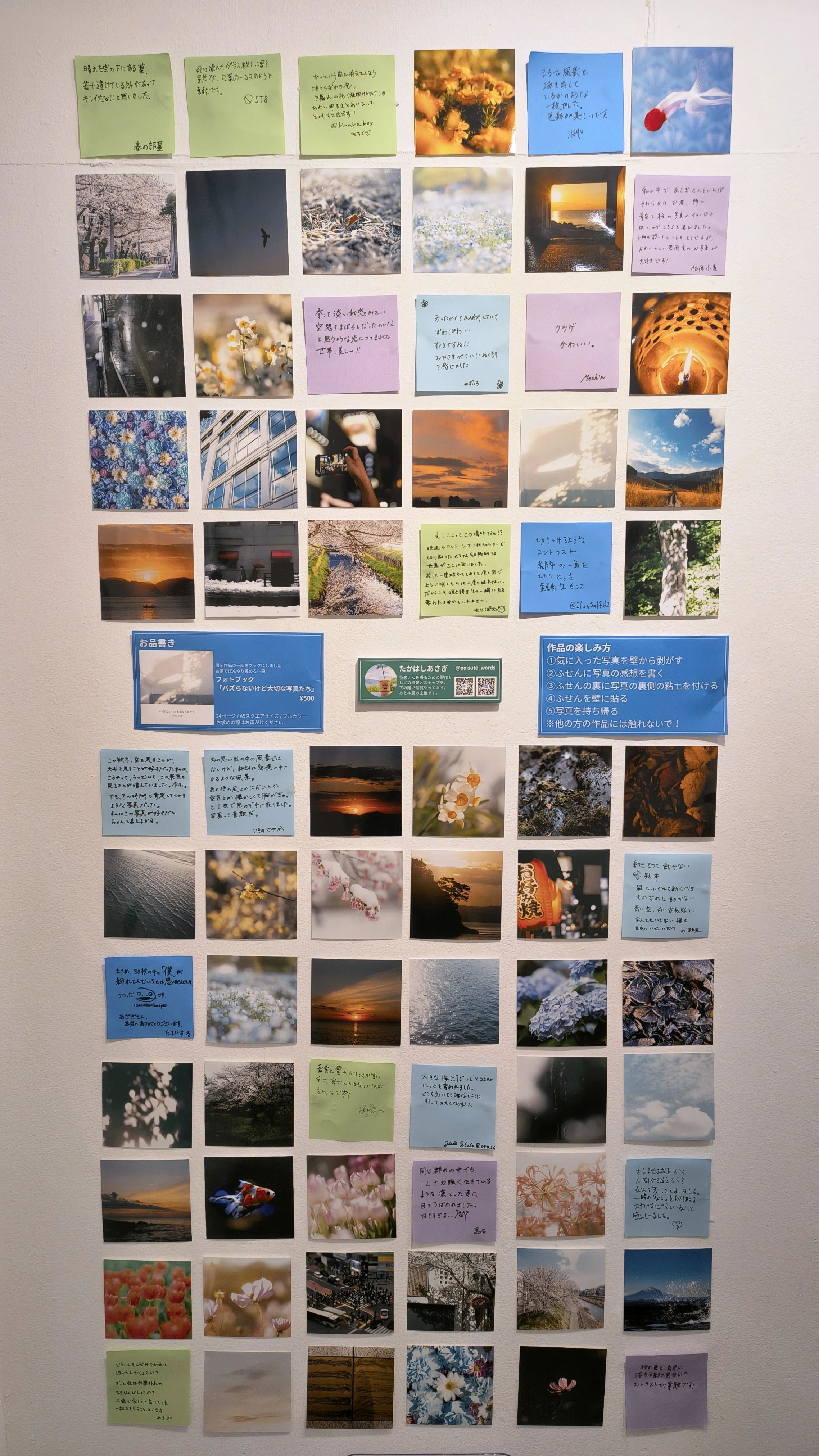 チームKIIの写真探します 写真を撮るは、盗る」を感じる「持って帰る展示作品」｜Misskey写真部
