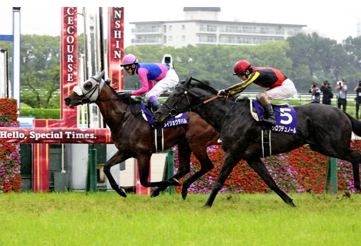 宝塚記念回顧】メイショウタバルを拾えた一戦。三連複的中と三連単の