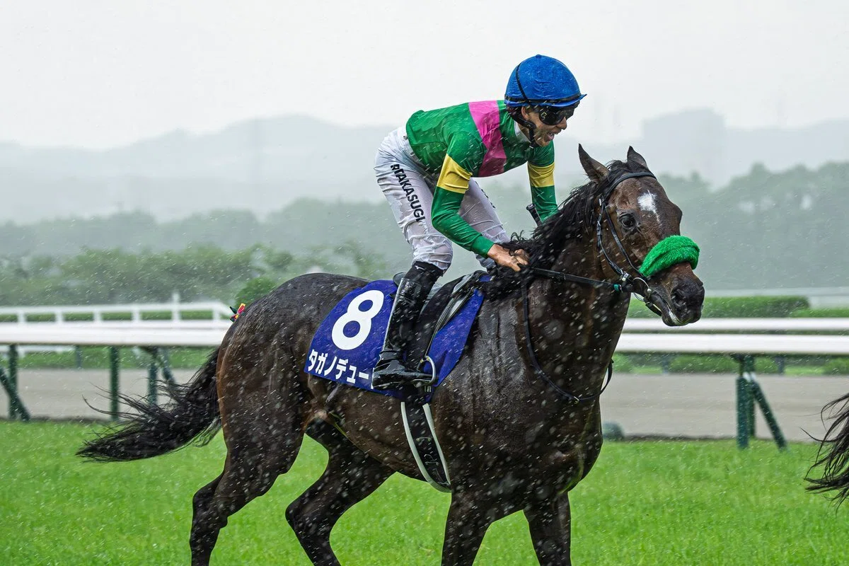 宝塚記念回顧】メイショウタバルを拾えた一戦。三連複的中と三連単の
