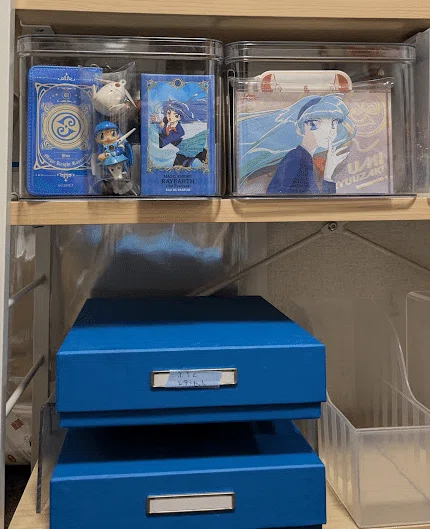 Otaku Decluttering #24 Bulky 3D Goods | Treasure Chest 💎 Daiso's