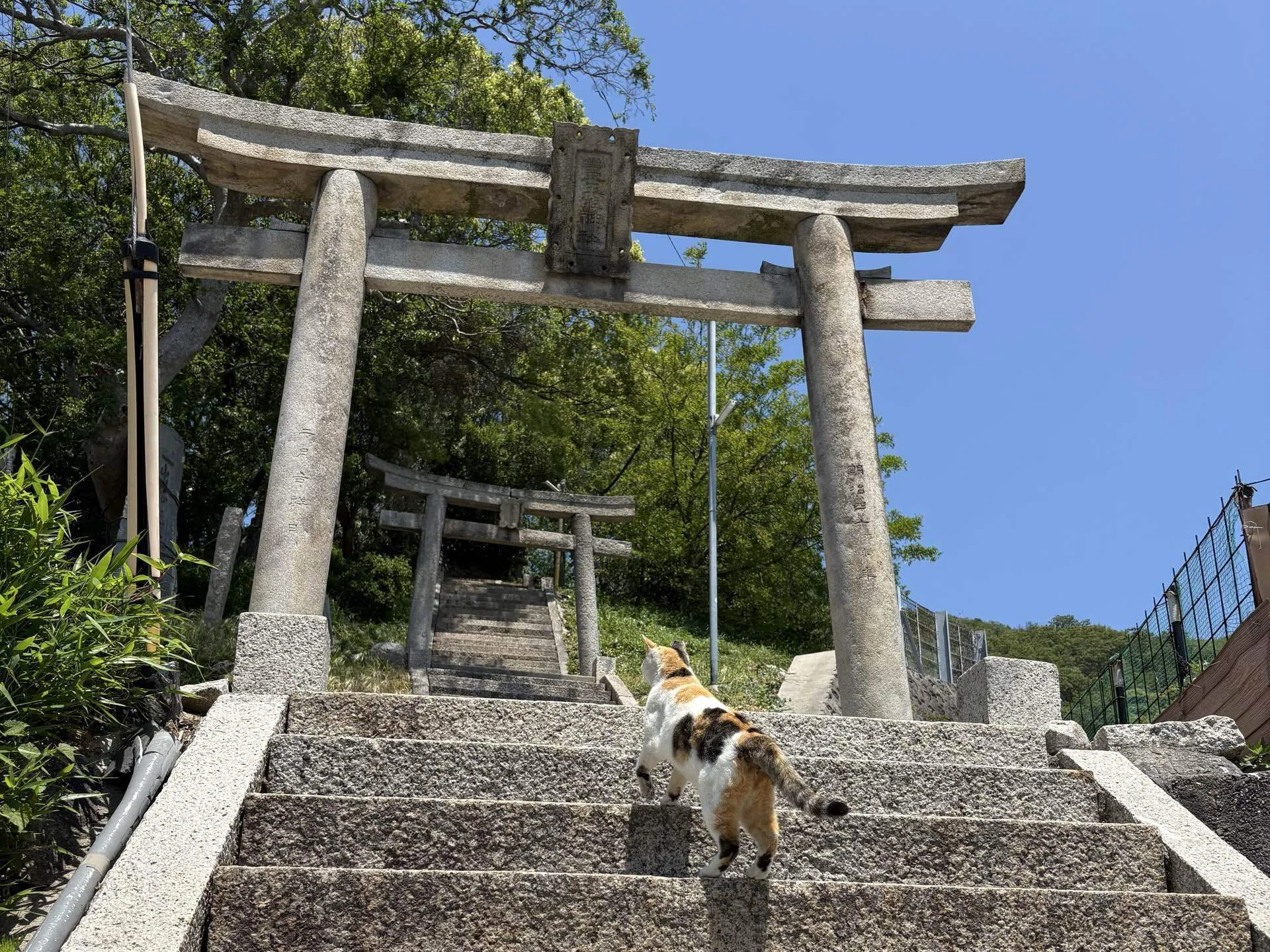 クロスバイク1,000km旅】 13日目｜鬼の次は猫、二つの島を巡れば、もう