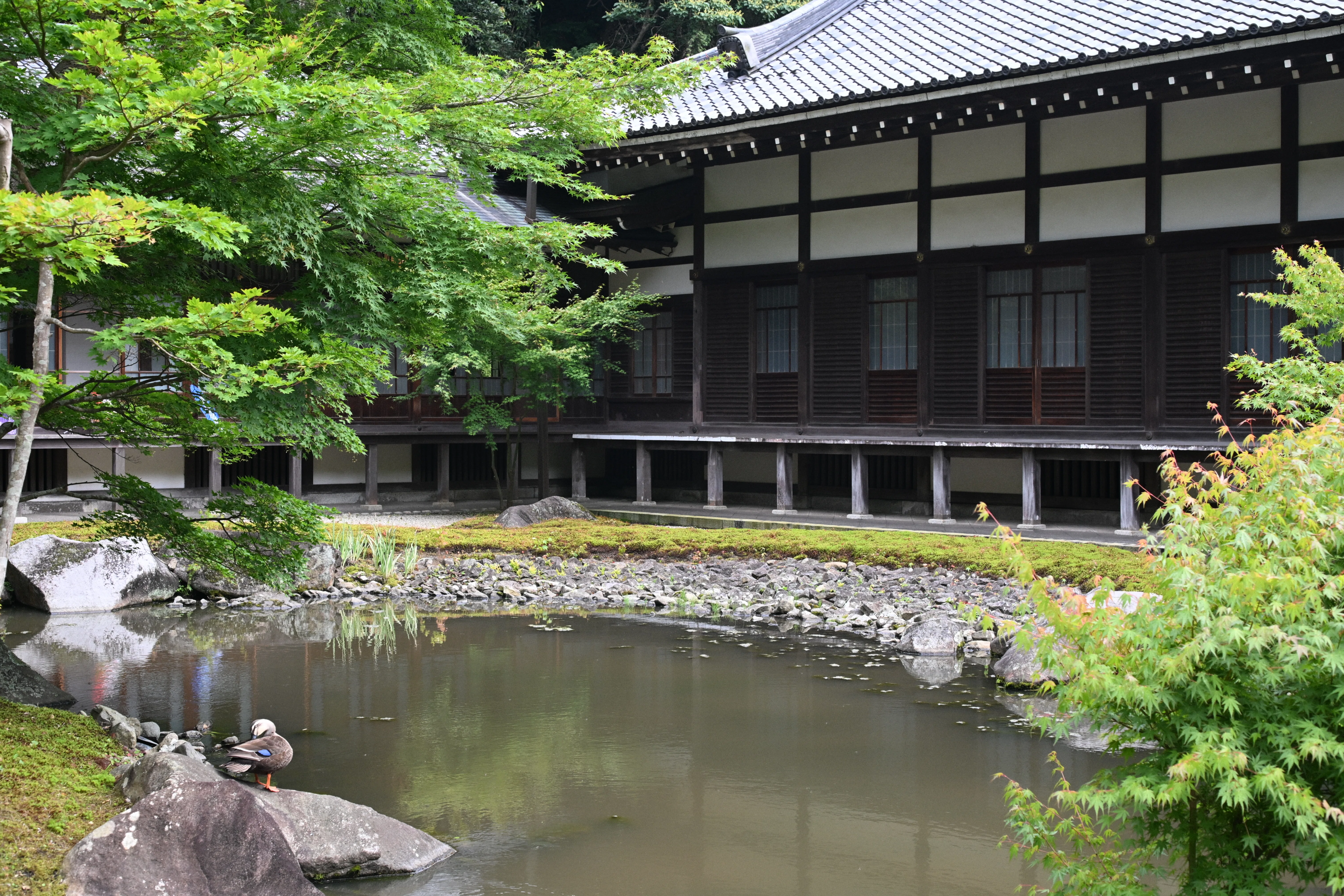 円覚寺｜踏架 Wait for a breeze