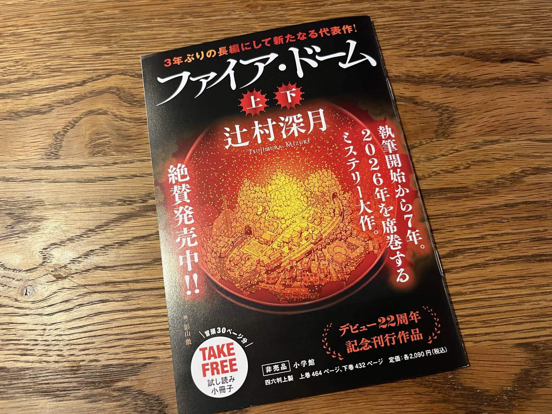 辻村深月の最新刊『ファイア・ドーム』の感想｜04