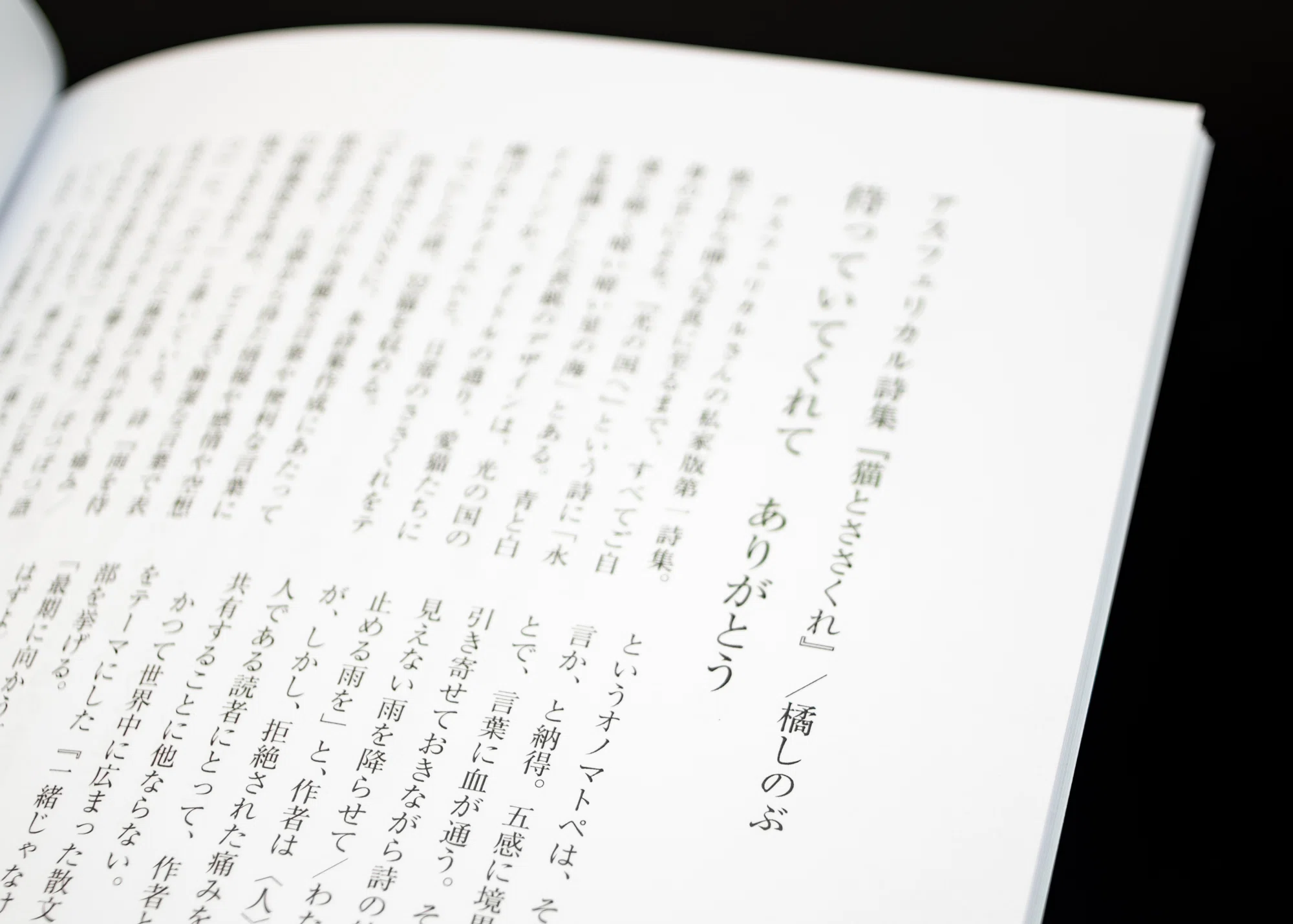 詩集『猫とささくれ』に初めての書評を頂戴いたしました｜アスフェリカル