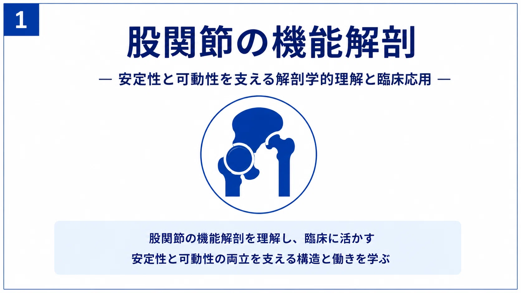 股関節の機能解剖と理学療法― 安定性・可動性・歩行分析を臨床に活かす