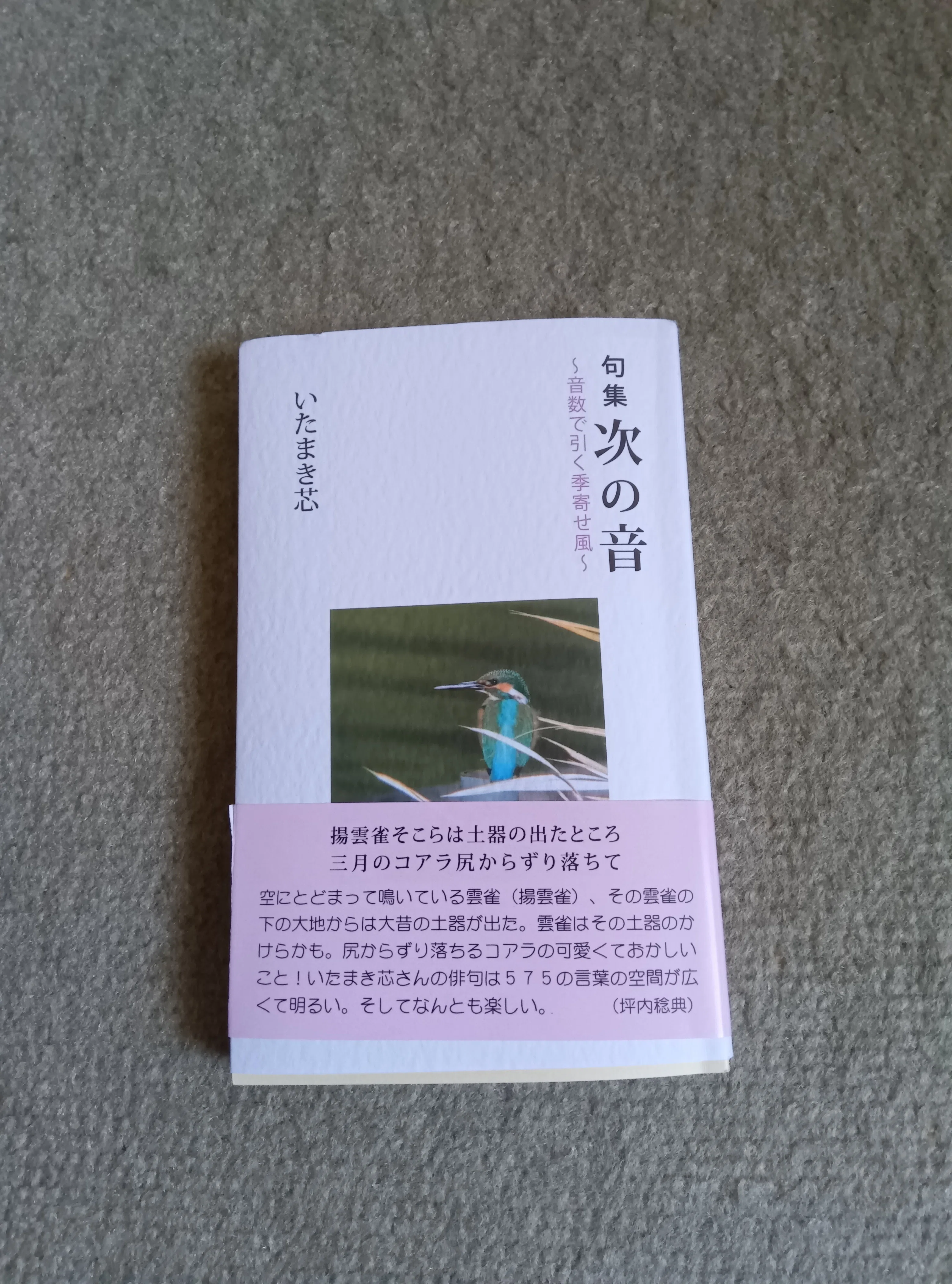 詩情豊かな～「杉田久女百句」「留守にしております」「次の音」｜百日草
