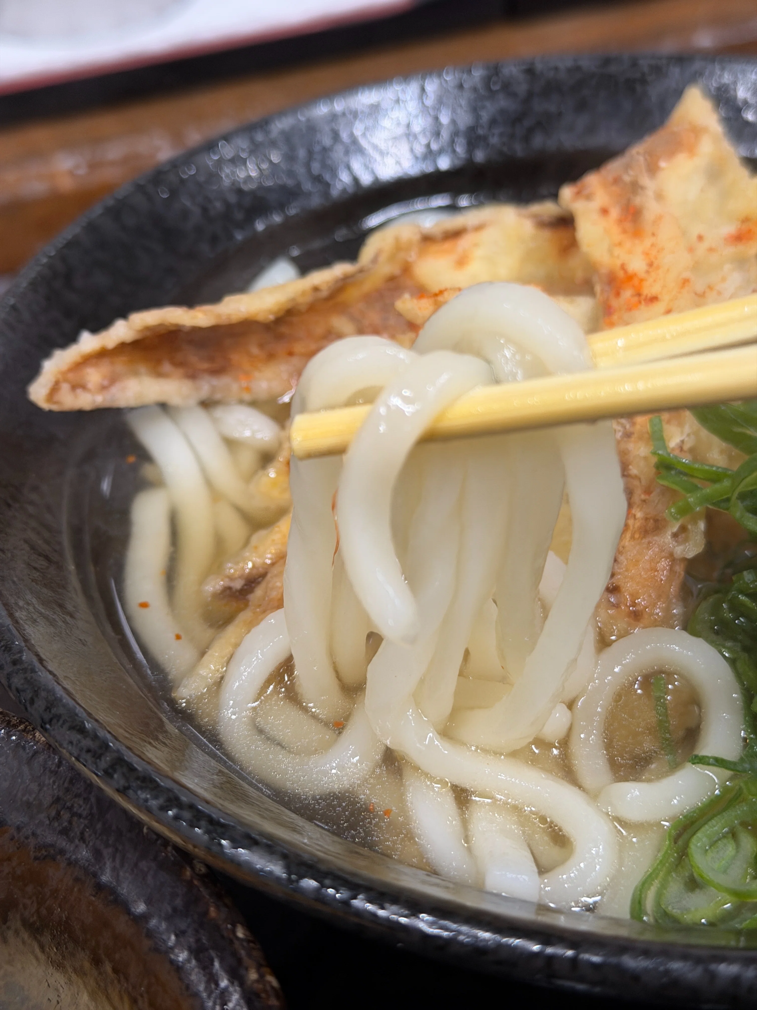 The Sea Breeze of Wakamatsu, My Mother, and Spring Udon｜諏訪