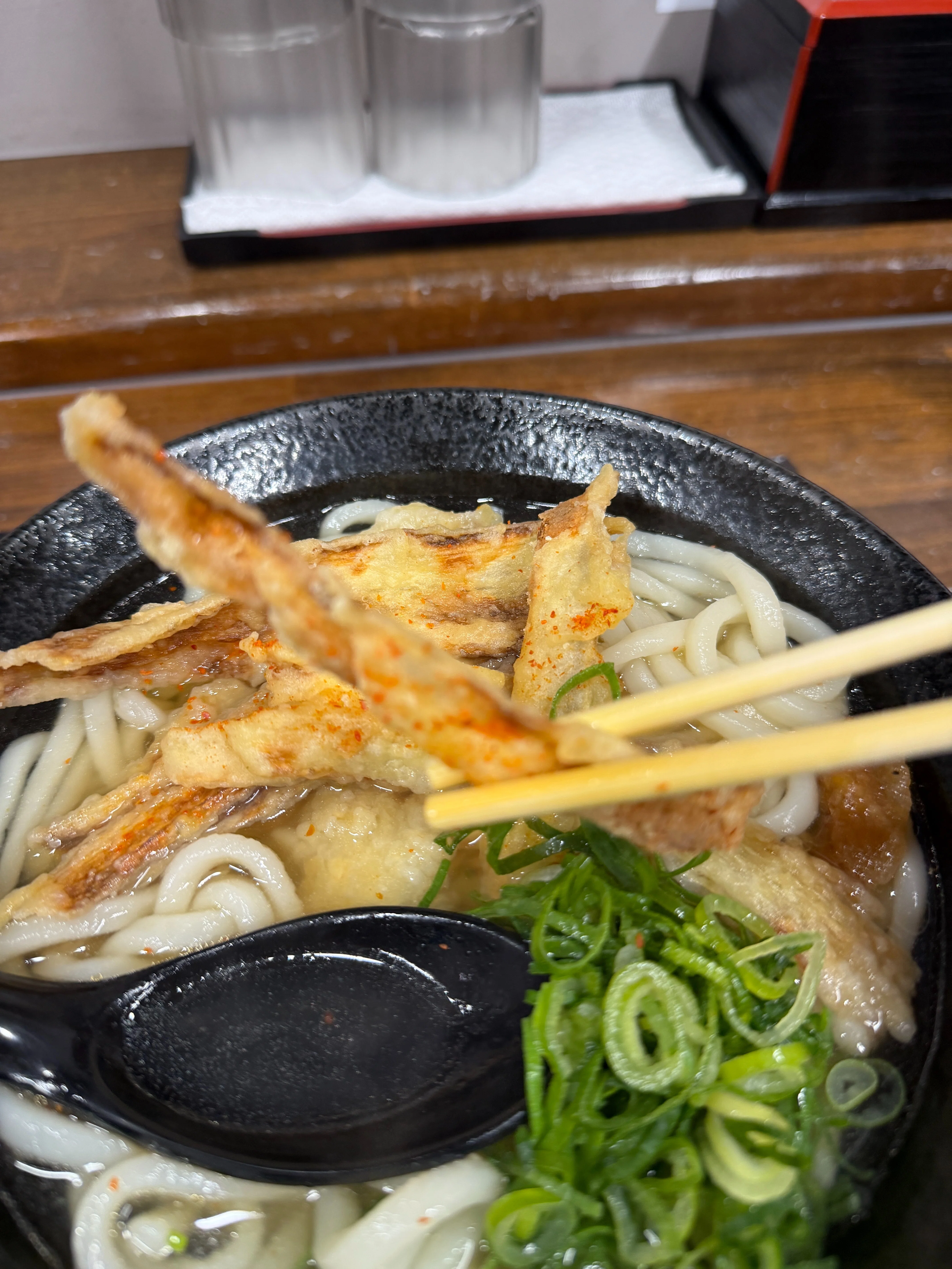 The Sea Breeze of Wakamatsu, My Mother, and Spring Udon｜諏訪