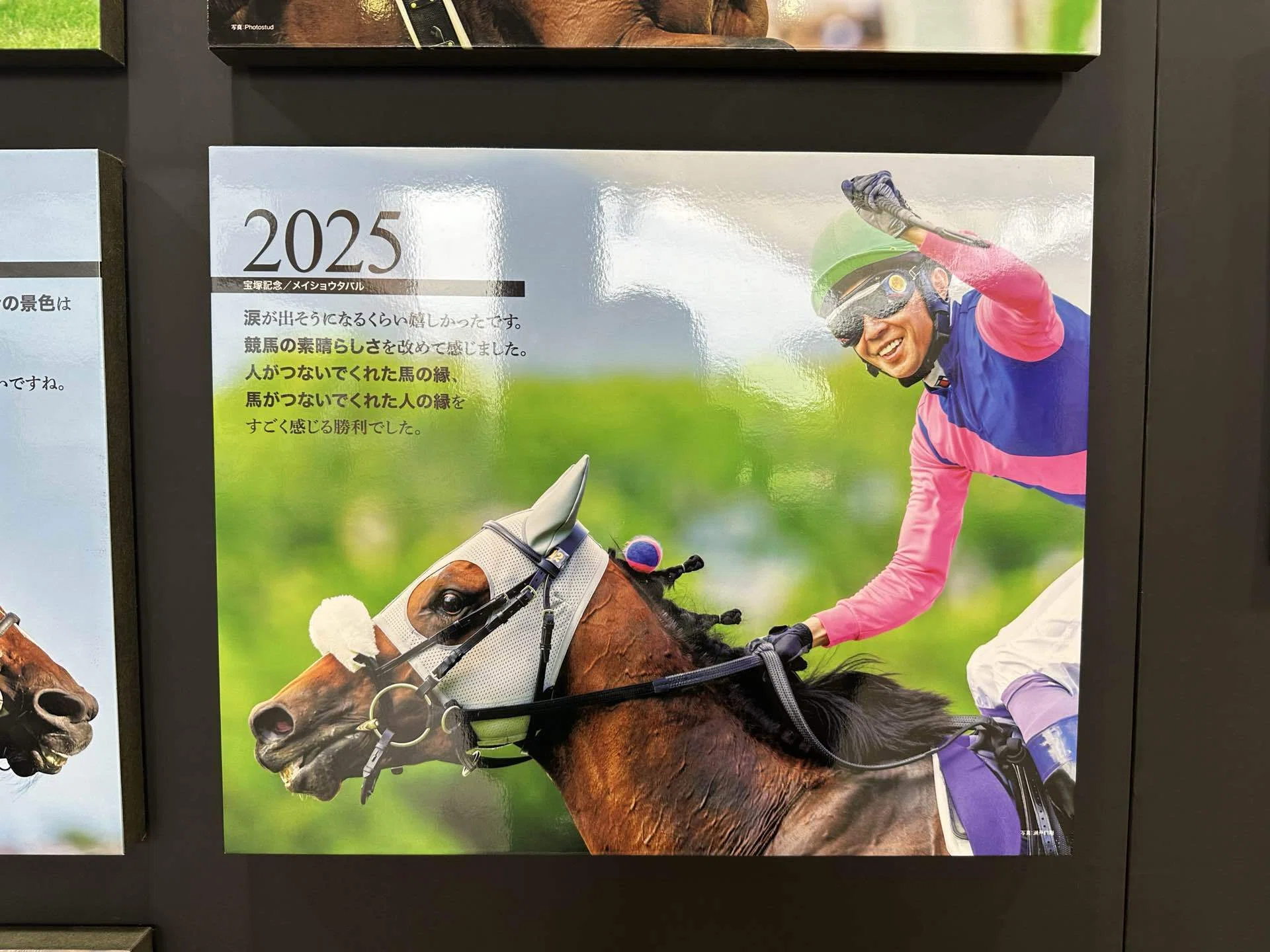 宝塚記念2026🏆】メイショウタバル連覇！春のグランプリを初心者向けに