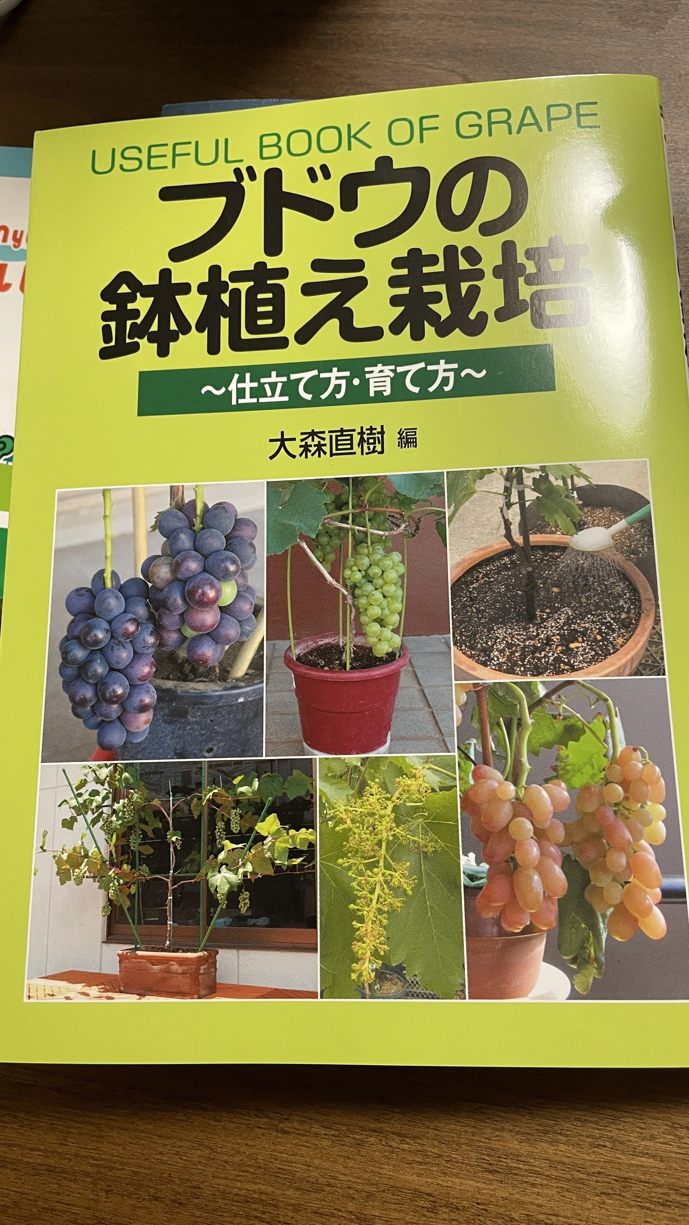 ついに始めました。ブドウ栽培（家庭菜園）に踏み切った理由とその想い