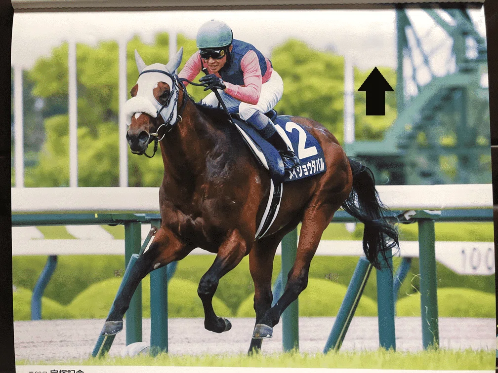 府中牝馬ステークス・しらさぎステークス2026 サイン馬券｜JRA
