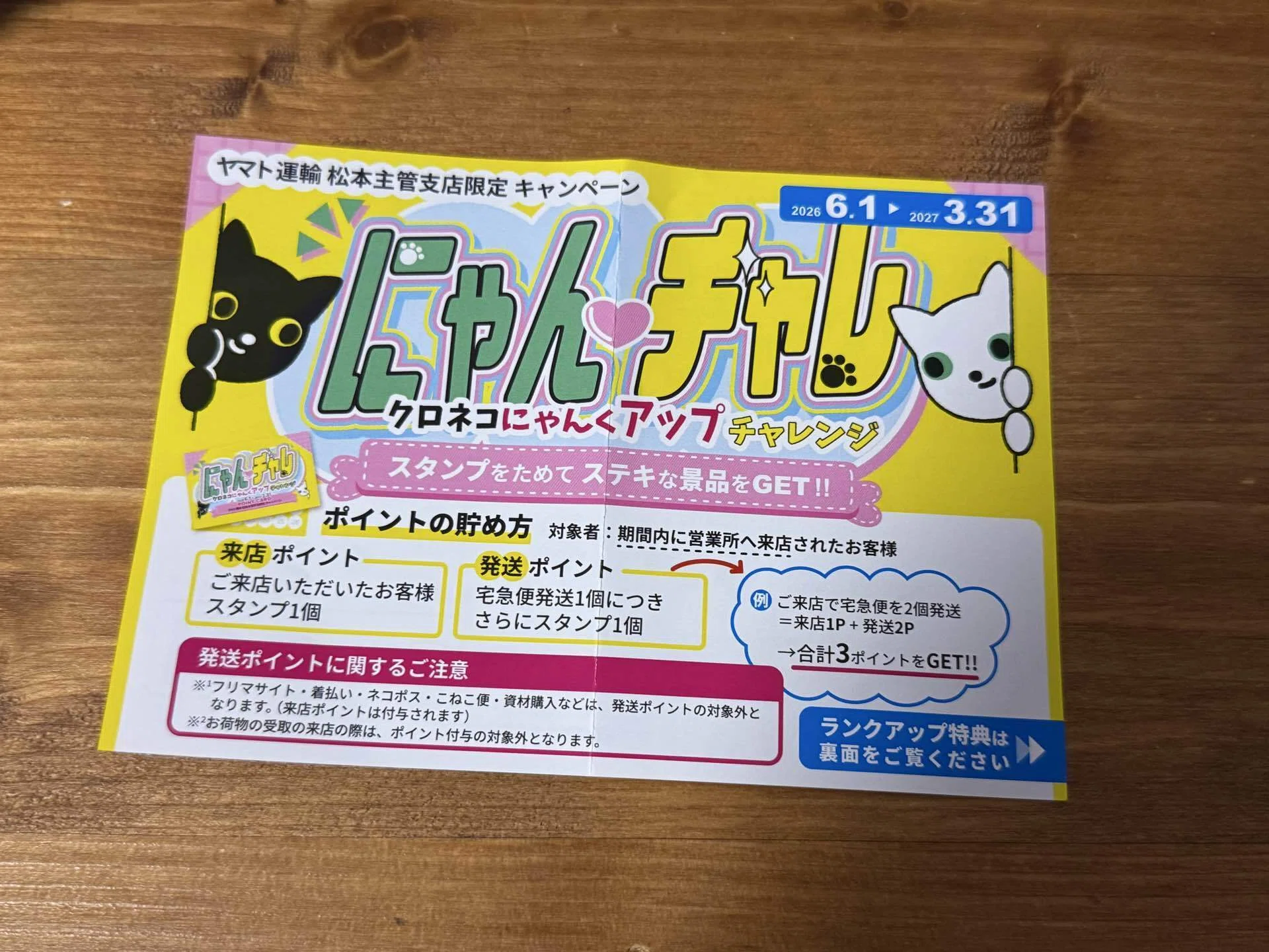 にゃんチャレ 始めました｜たなか ひろき