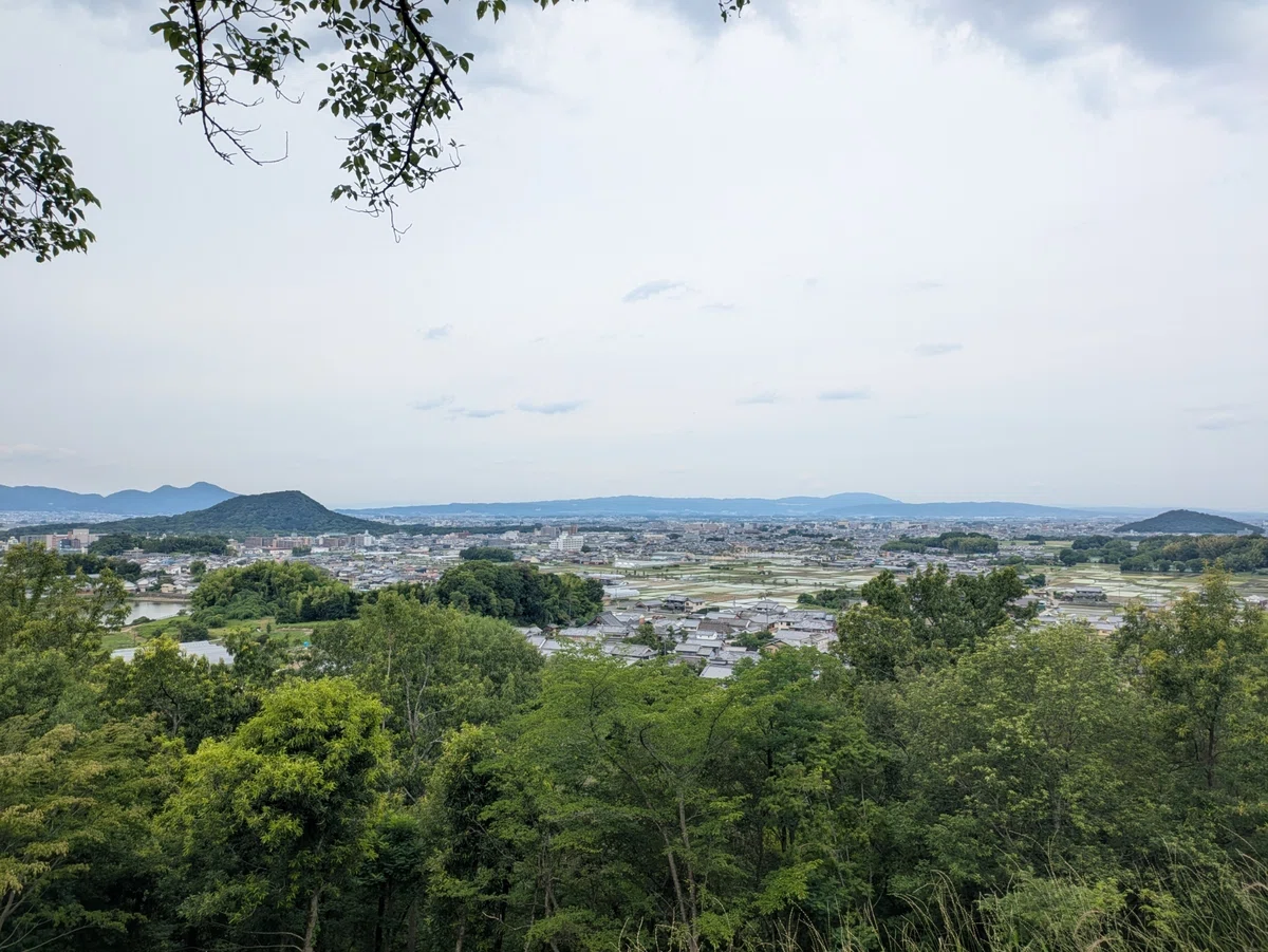 画像