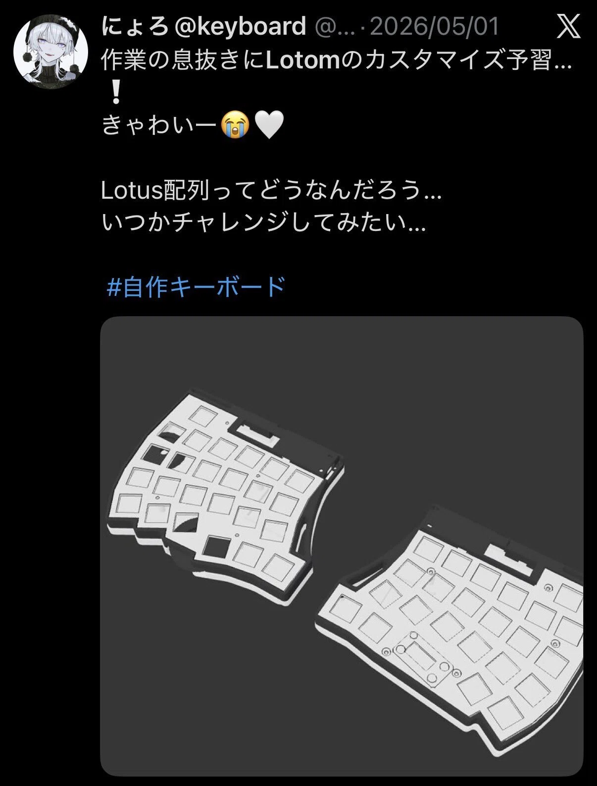 LoTom build log - 配列もギミックもかなり面白すぎた…｜にょろ