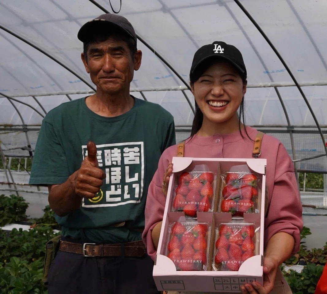 From strawberry reception to cafe prep. My work routine at a