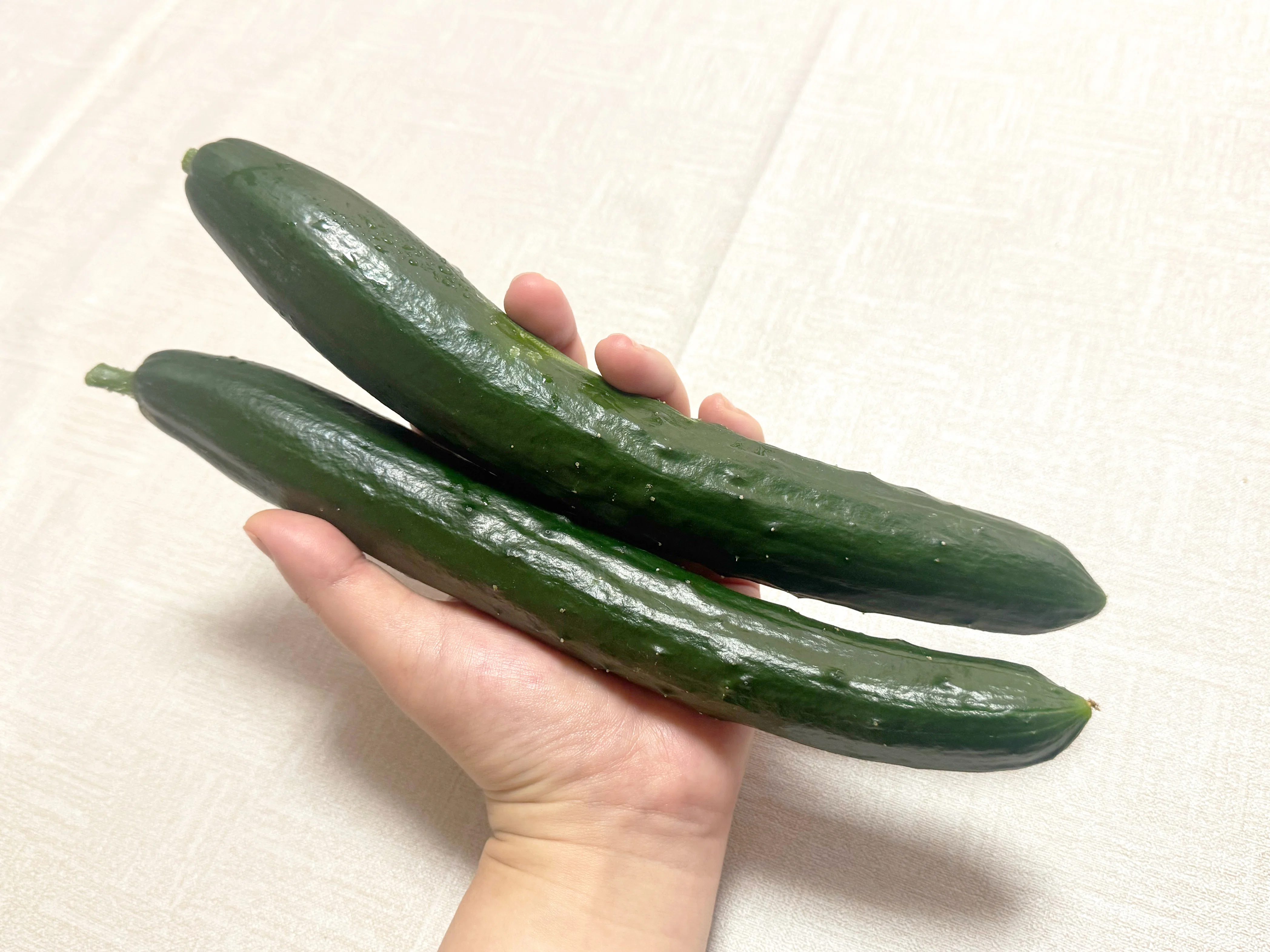 日常】畑の小さな実りと、きゅうりのご褒美｜Shacolon