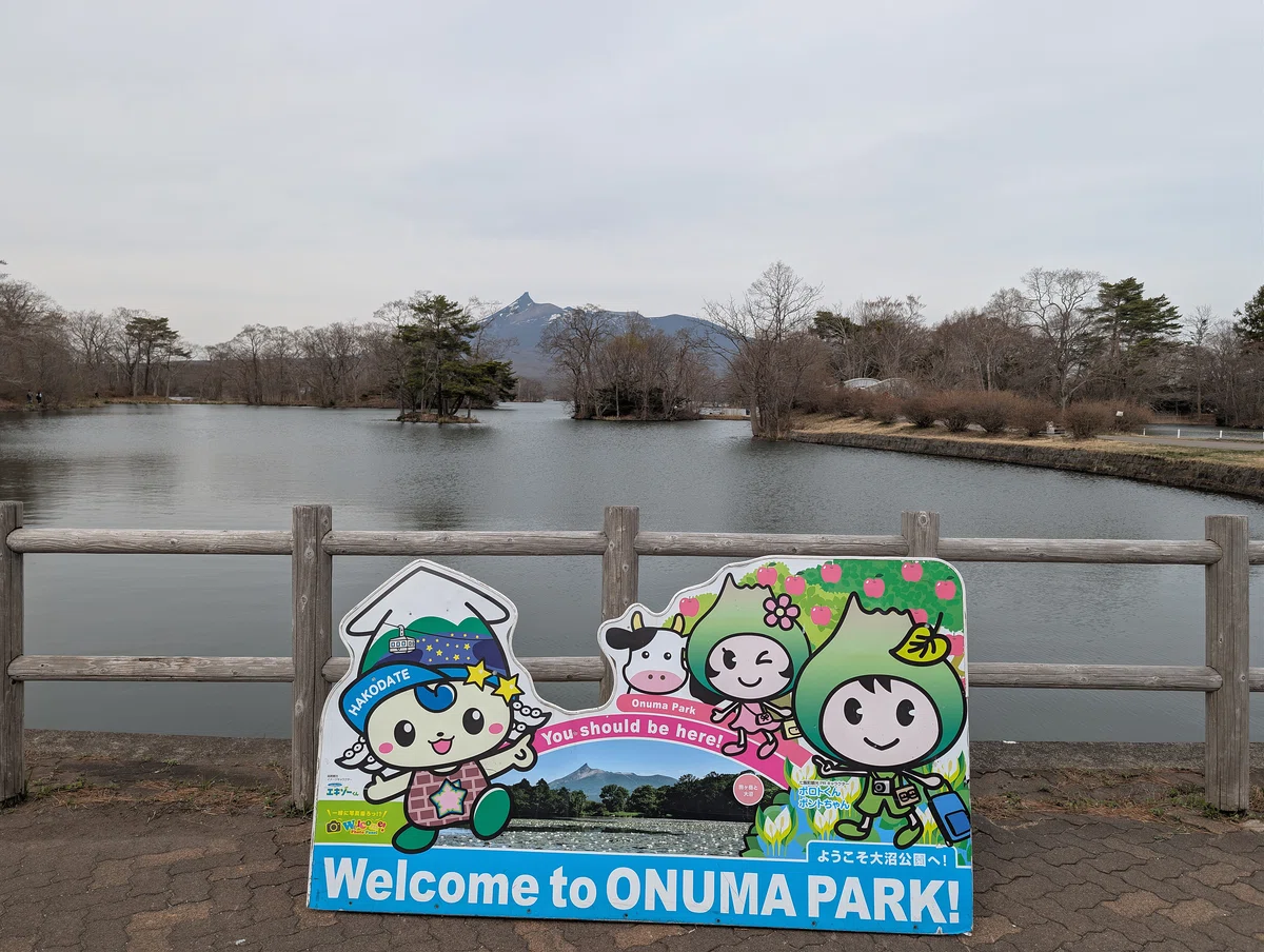 北海道🏞️に行った話②大沼国定公園～昭和新山熊牧場｜たぬ