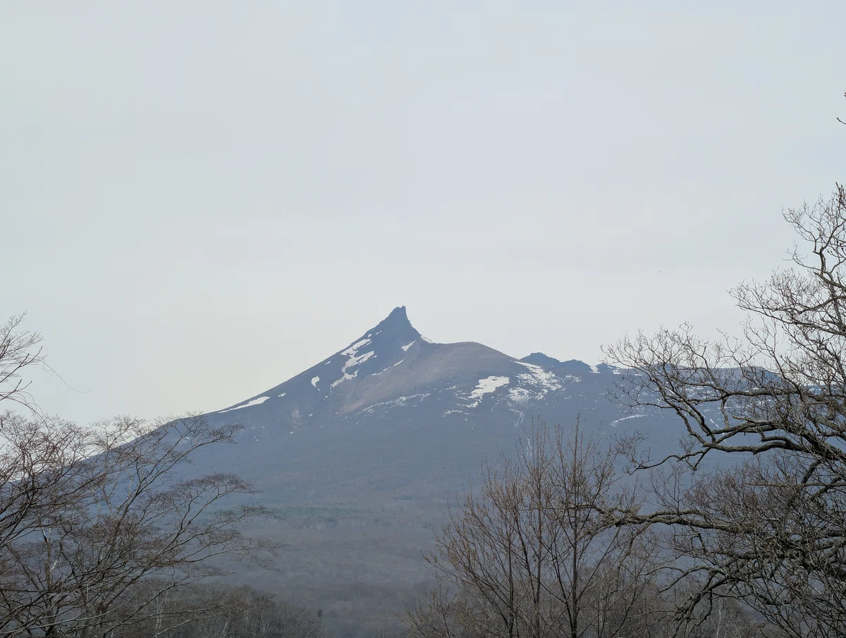 北海道🏞️に行った話②大沼国定公園～昭和新山熊牧場｜たぬ