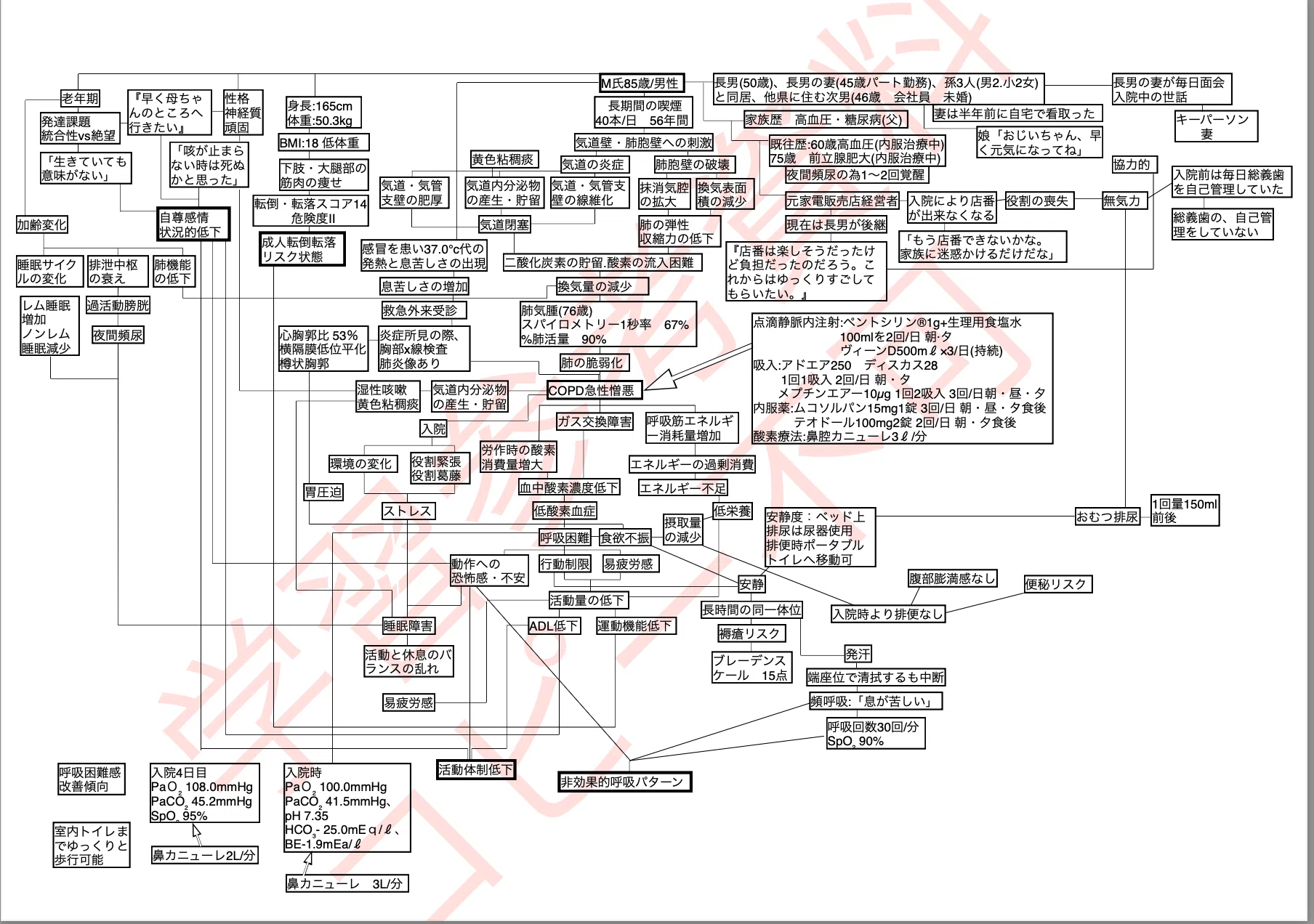 ⭐️おまとめ割⭐️看護 実習 国試 アセスメント 関連図 情報収集 急性期 など アセスメントなんてクソ喰らえ！！看護学生 必見 関連図データーの紹介
