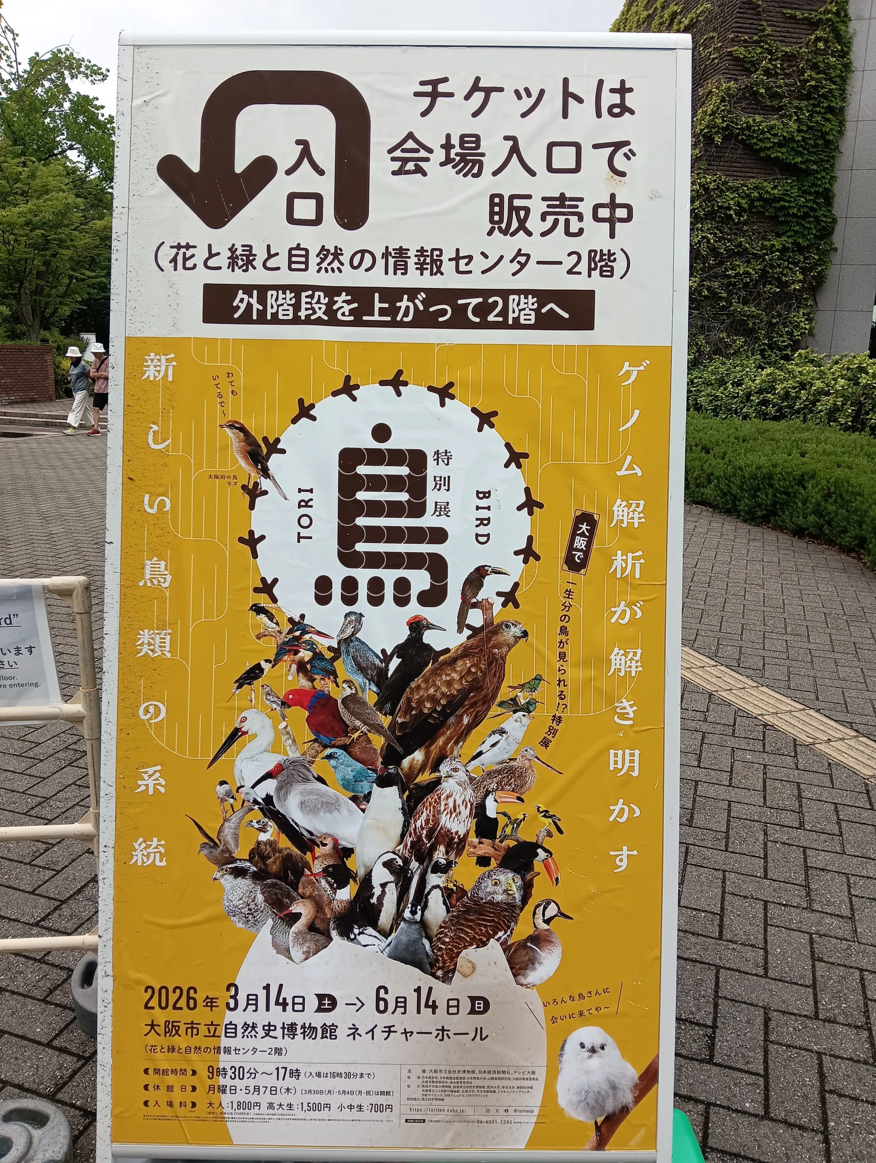 特別展「鳥」大阪会場で、400点超の鳥剥製をみてきた！｜いきものぐるり