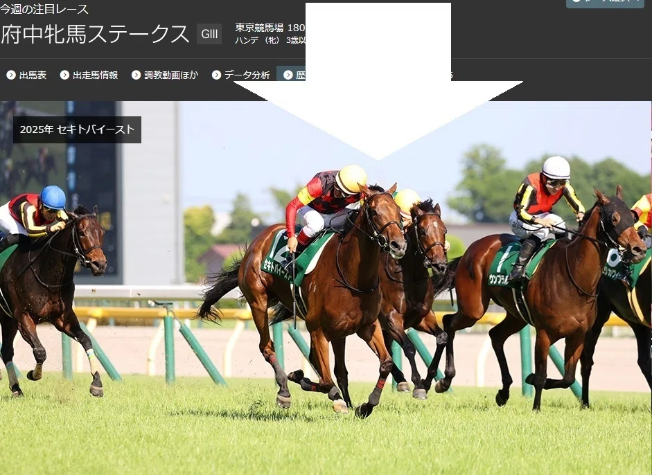 府中牝馬ステークス・しらさぎステークス2026 サイン馬券 Part2｜府中