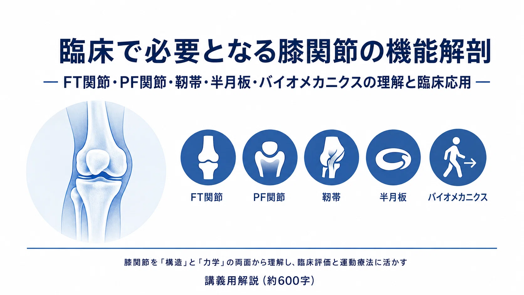 膝関節の機能解剖と評価・運動療法 ― FT関節・PF関節・靭帯・半月板