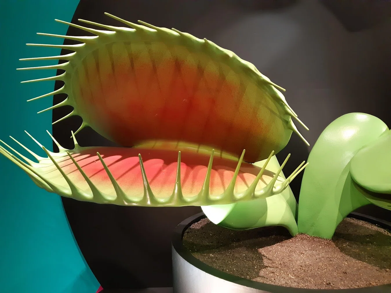 配信原稿】創作者のための空想植物学～人喰い植物の作り方～｜みしまさいこ
