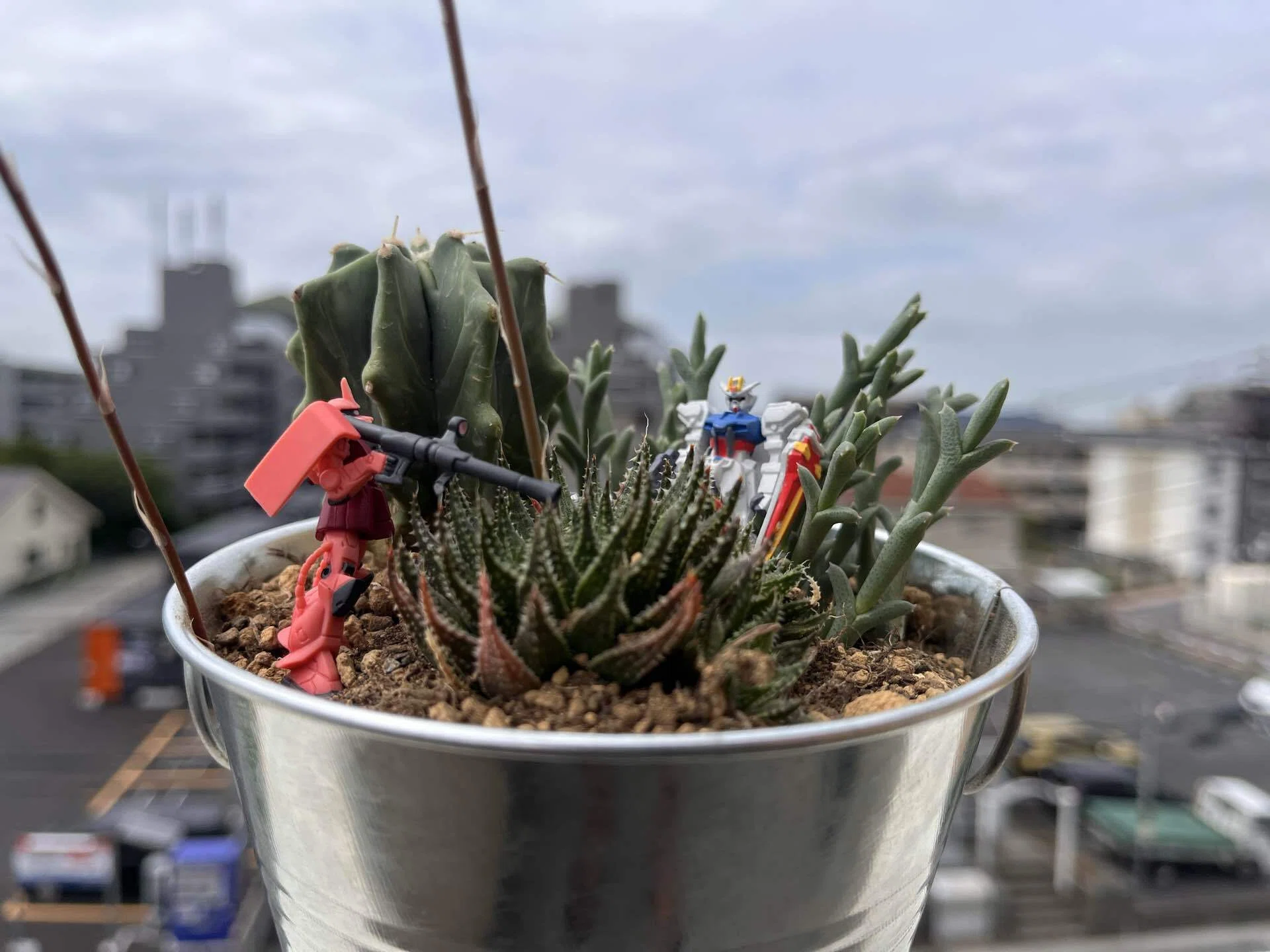 直径10cmの箱庭作り｜多肉植物の名前が厨二病すぎる！第伍話｜マイキー🐣