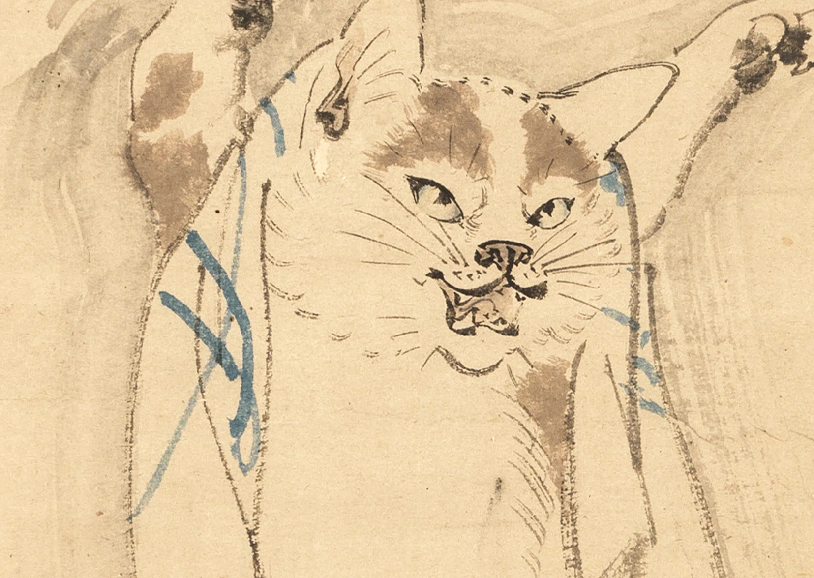 河鍋暁斎の世界」展出品作⑦暁斎《猫又図》明治4-22年（1871-89年