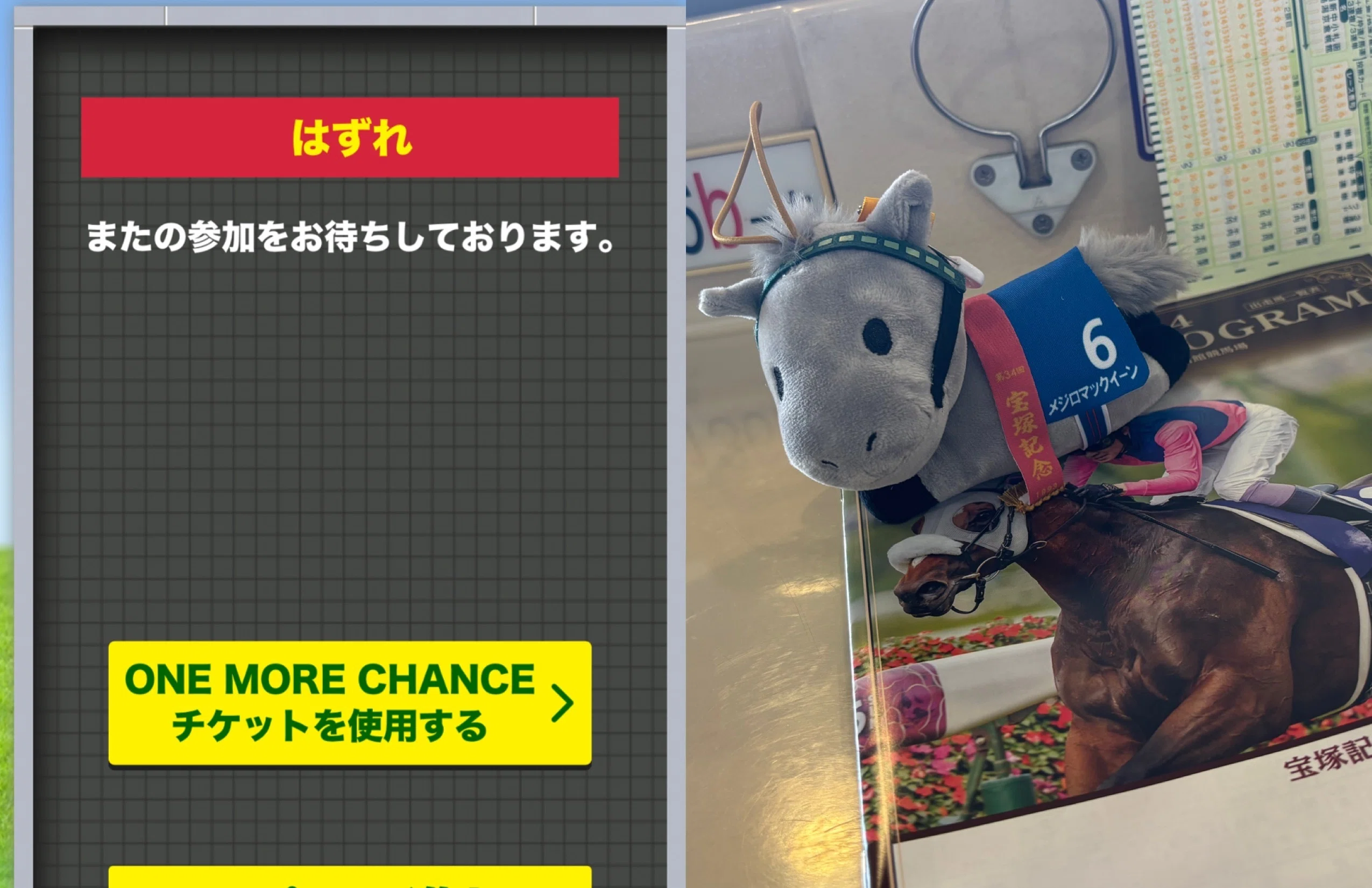 競馬メモ】第67回宝塚記念観戦メモ in 府中（2026.6.14）【写真】｜圭